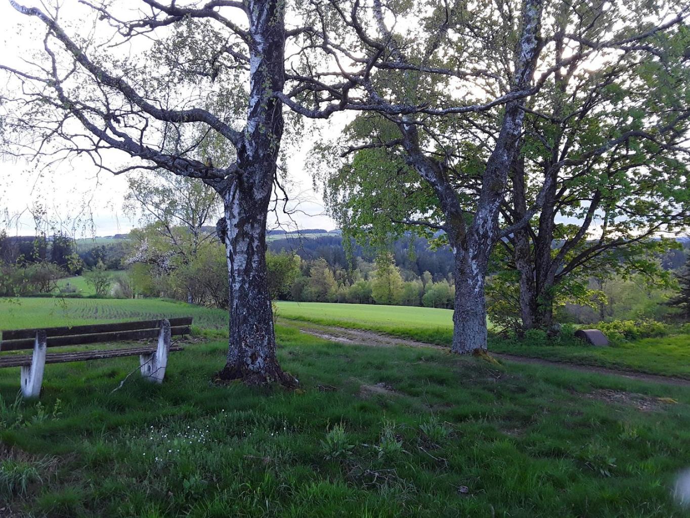 Photo 44