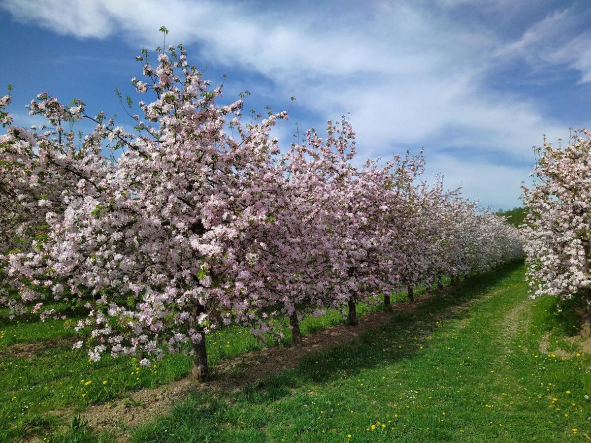 Ferienhof Dachsberg Weitblick