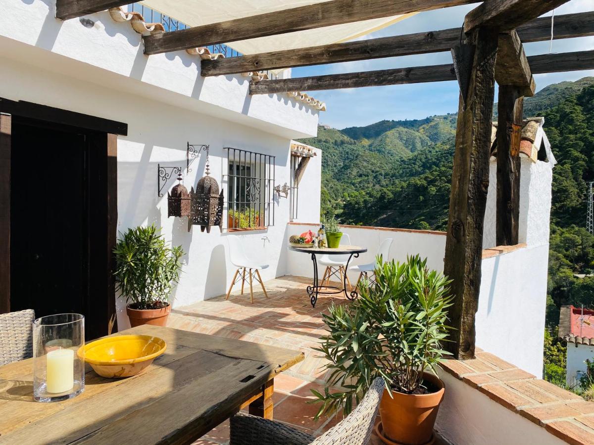 Finca Flores photo 3