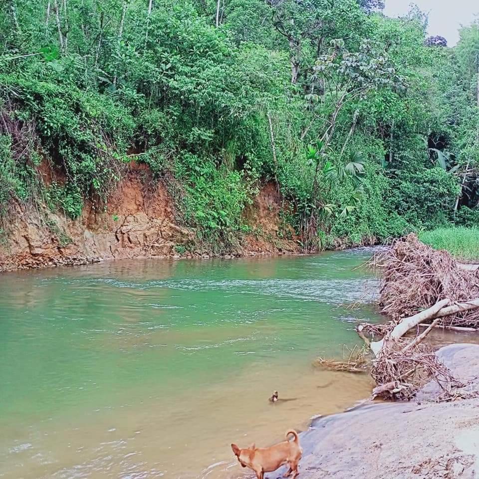 Finca San Mateo