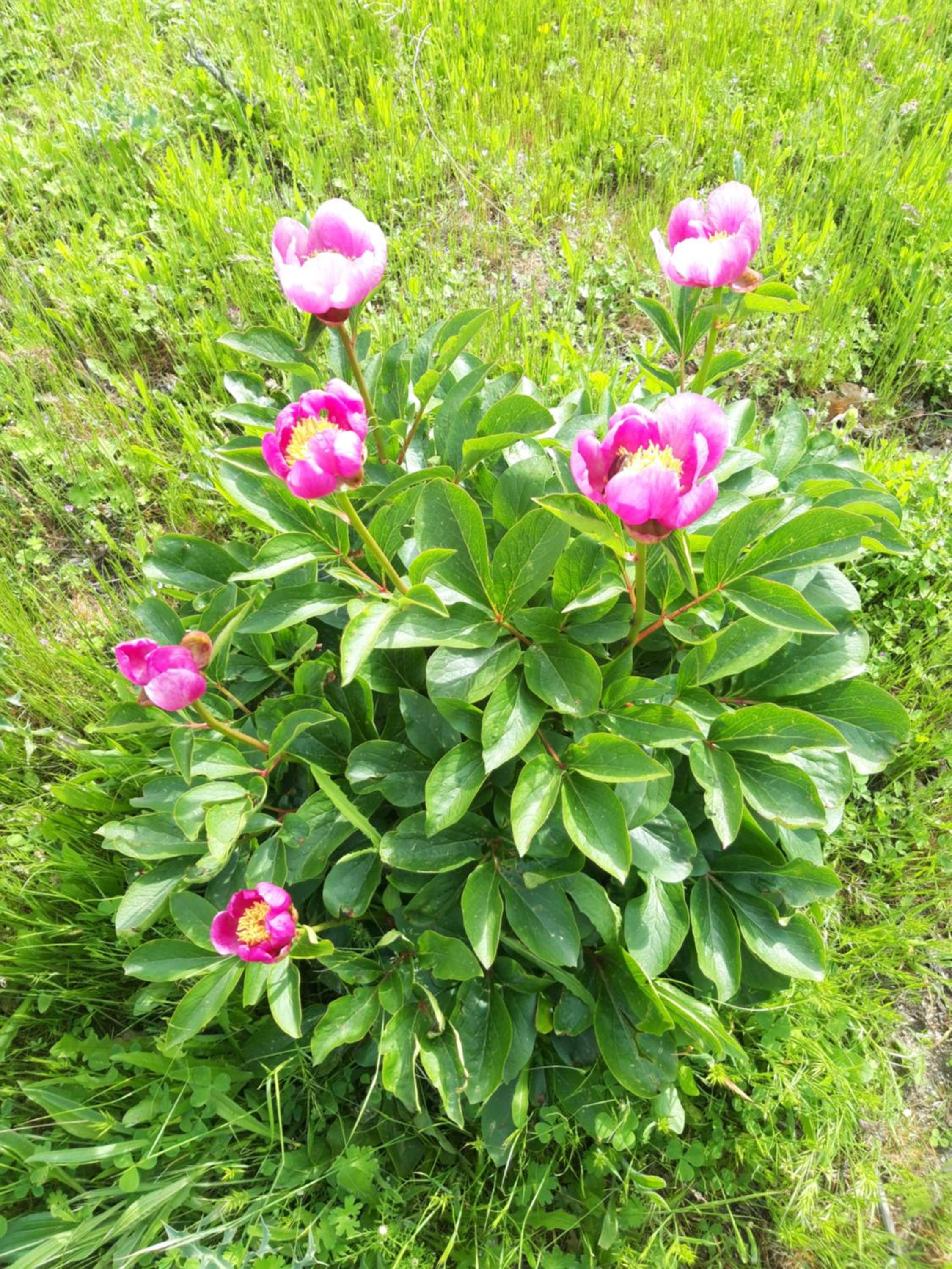 Photo 35