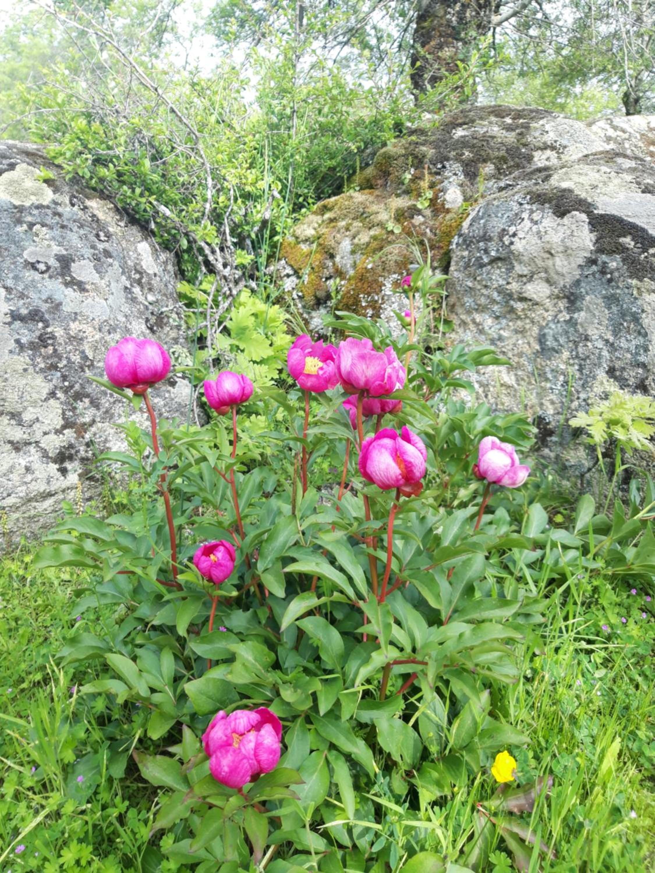 Photo 36