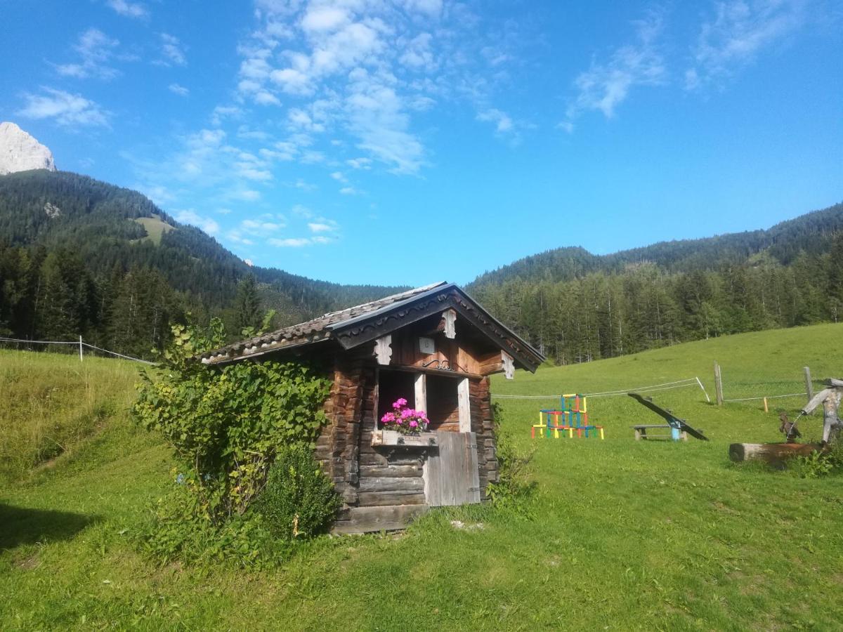 Photo 44