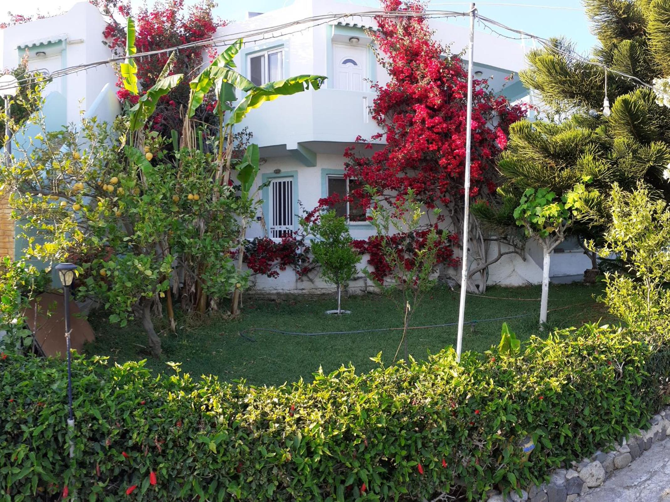 Photo 19