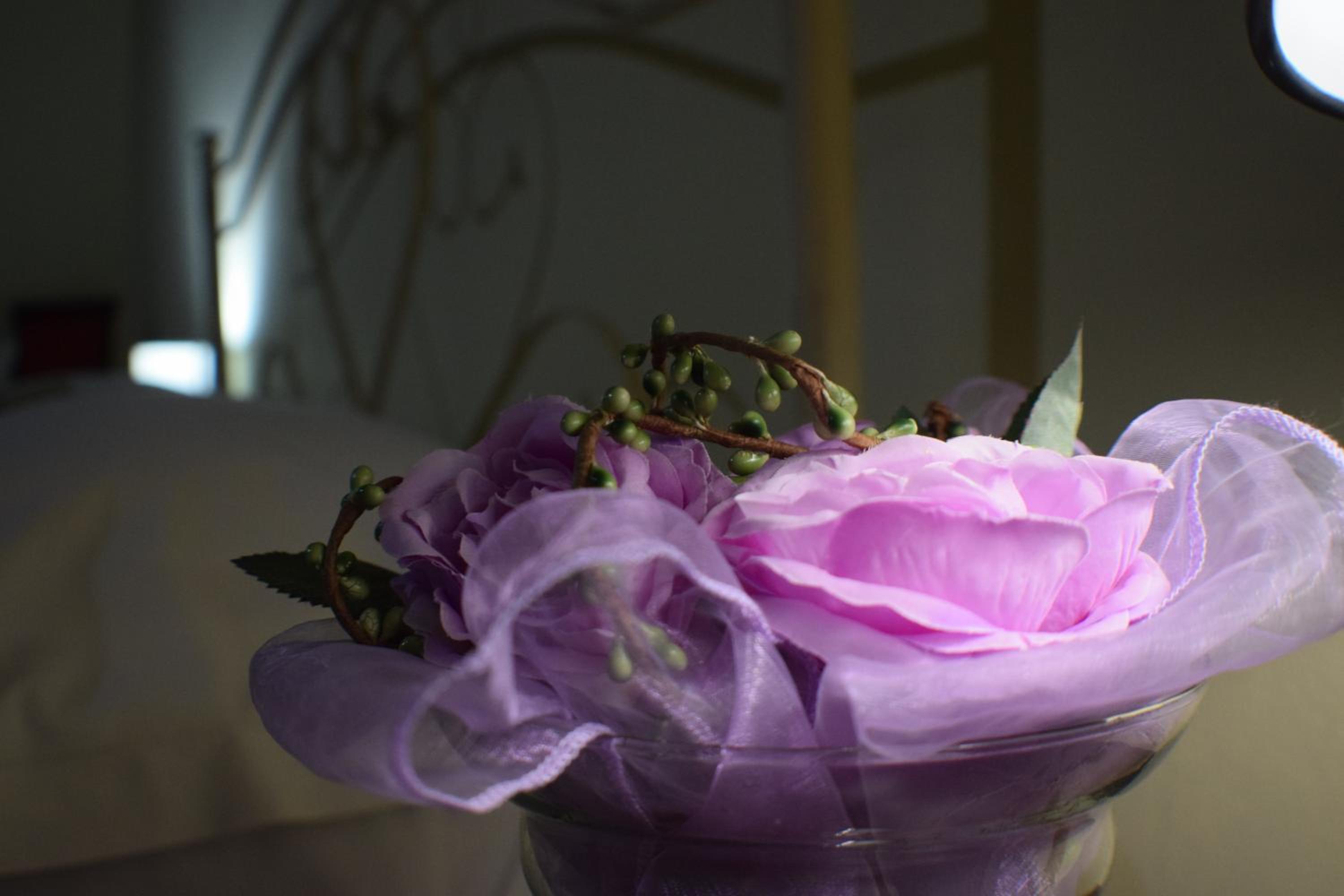 Photo 33