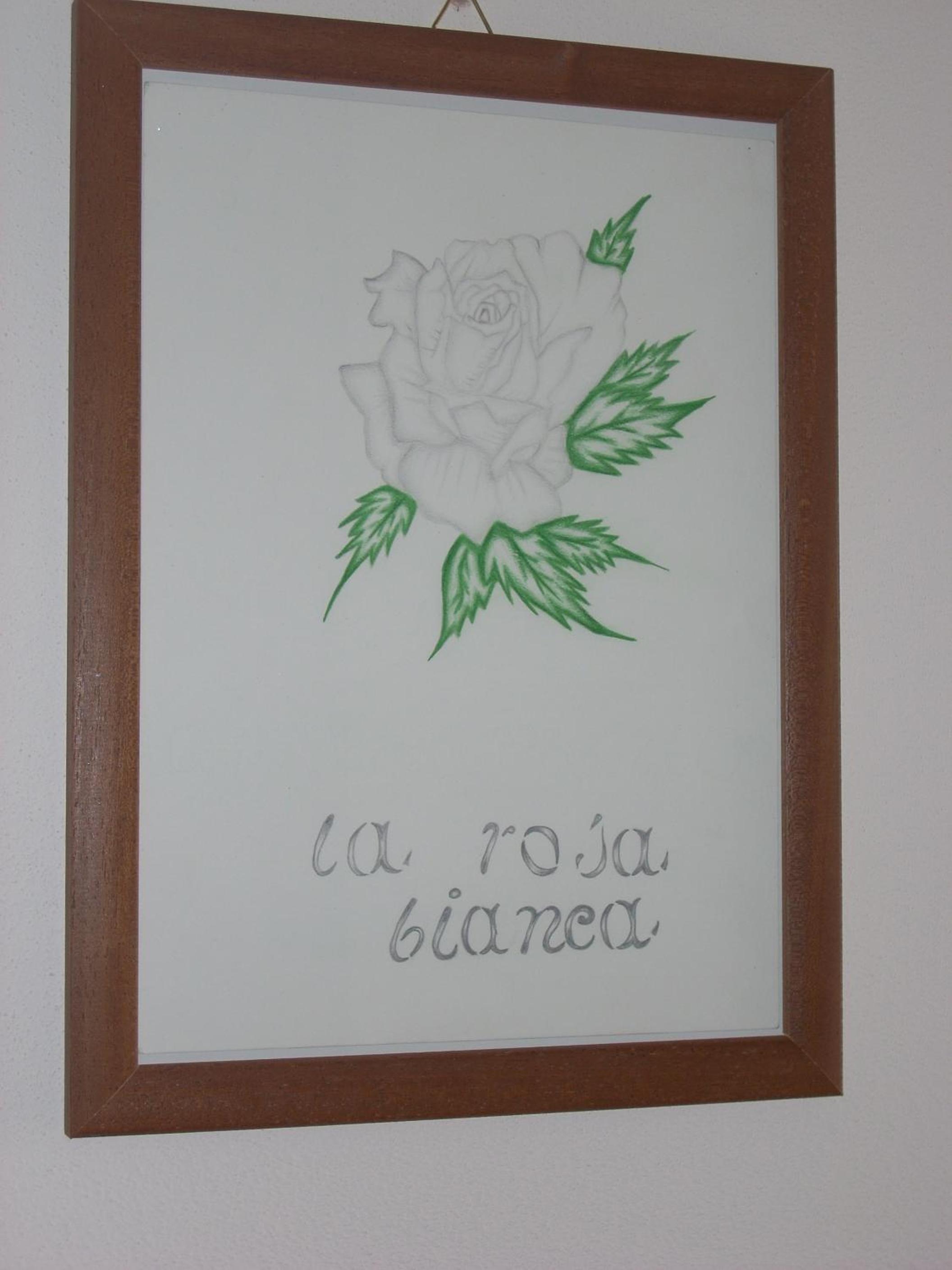 Photo 52