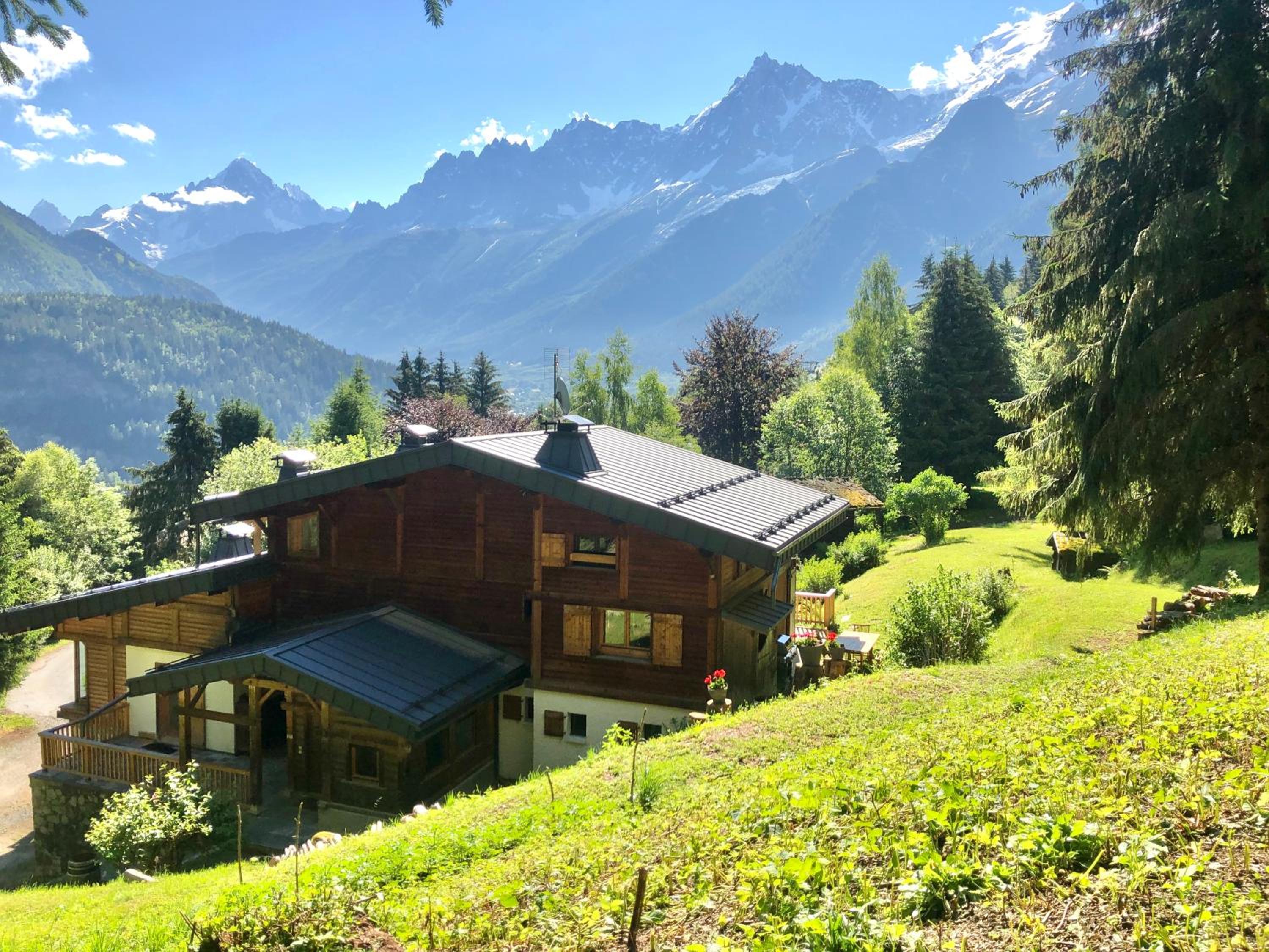 Chalet Mountain Vibes view 5