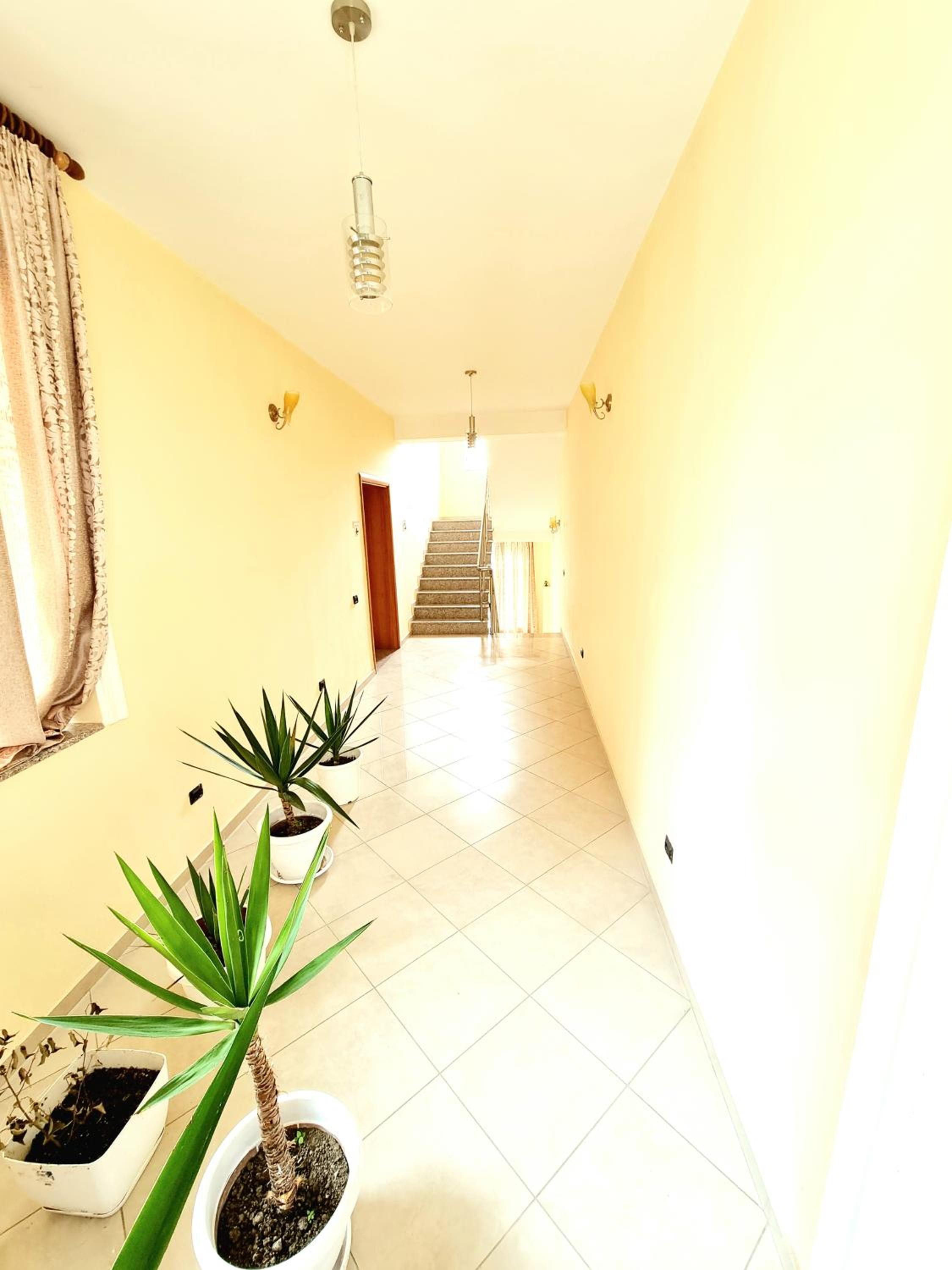 Luckyshine hostel