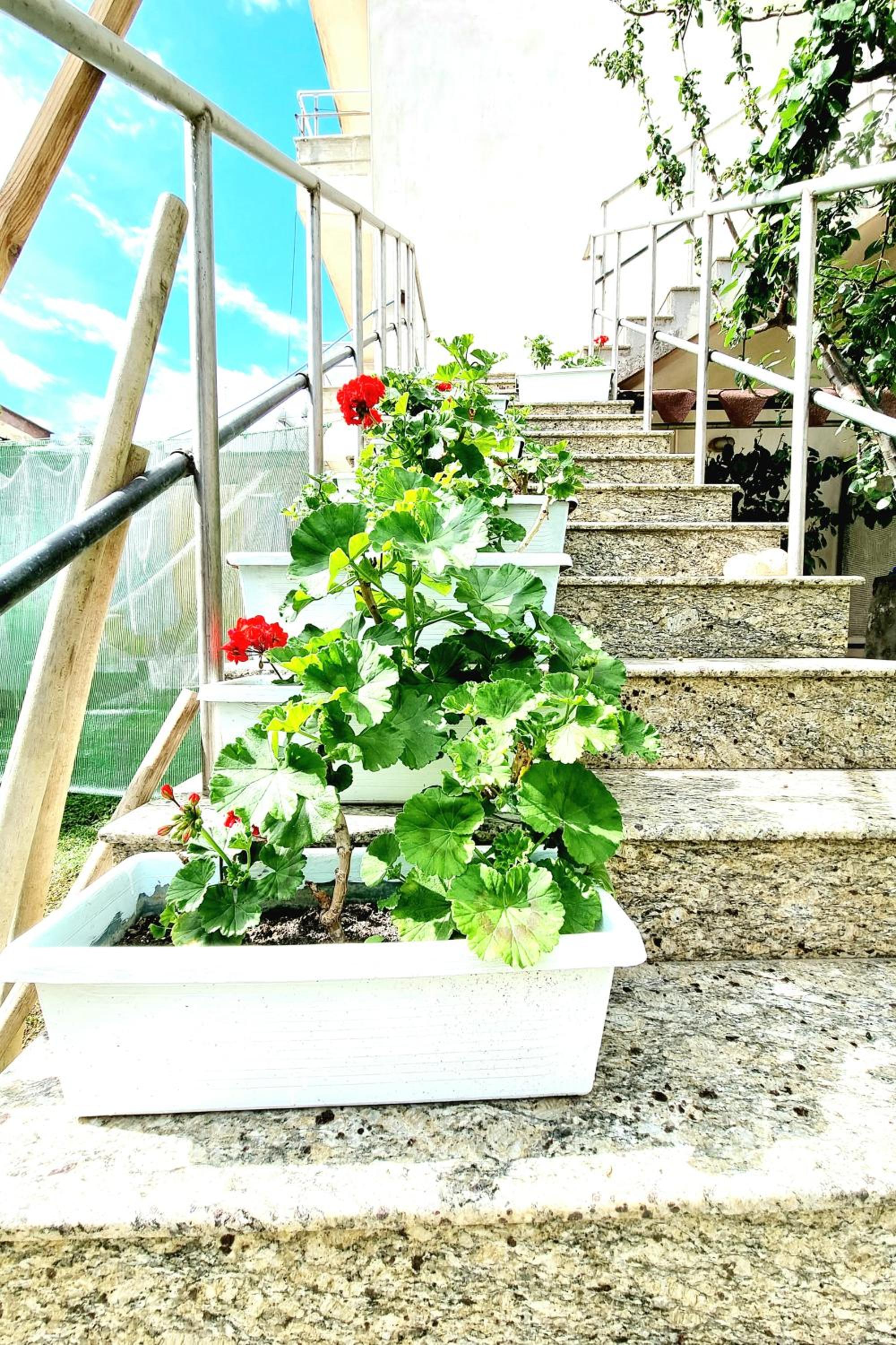 Luckyshine hostel