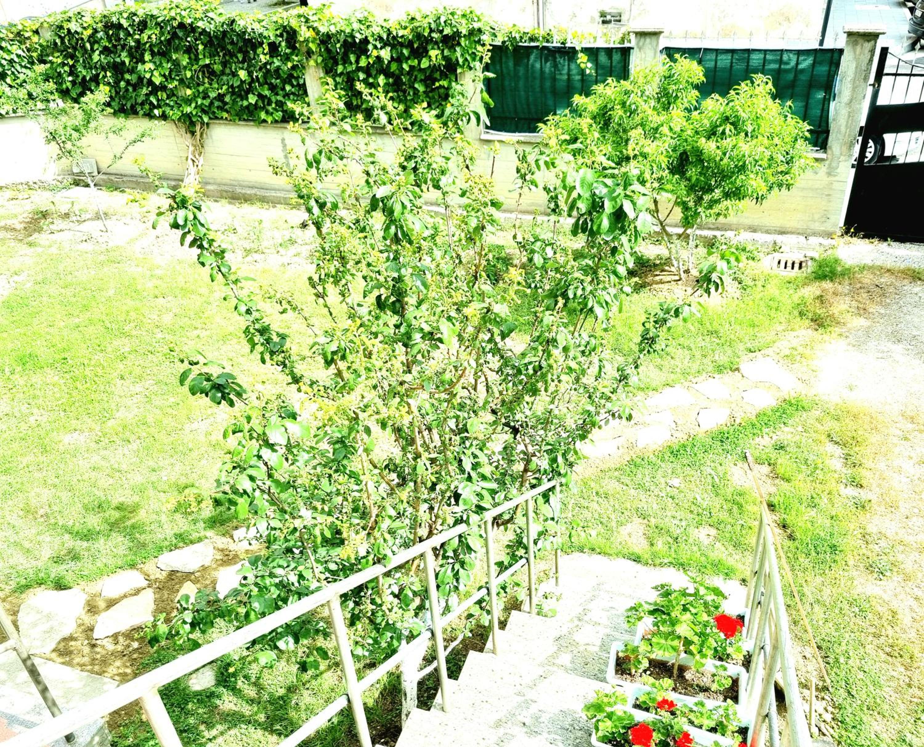 Luckyshine hostel