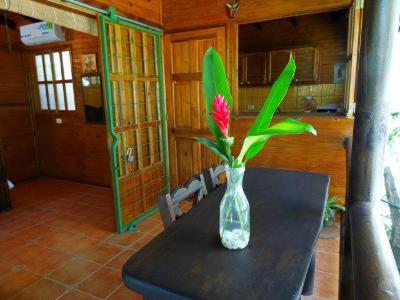 FLOR DE PARAISO BUNGALOWS