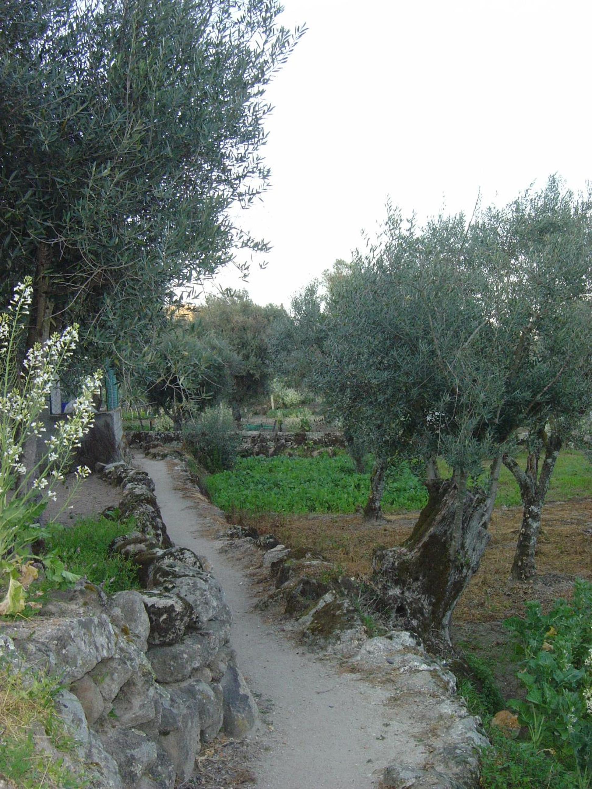 Photo 30