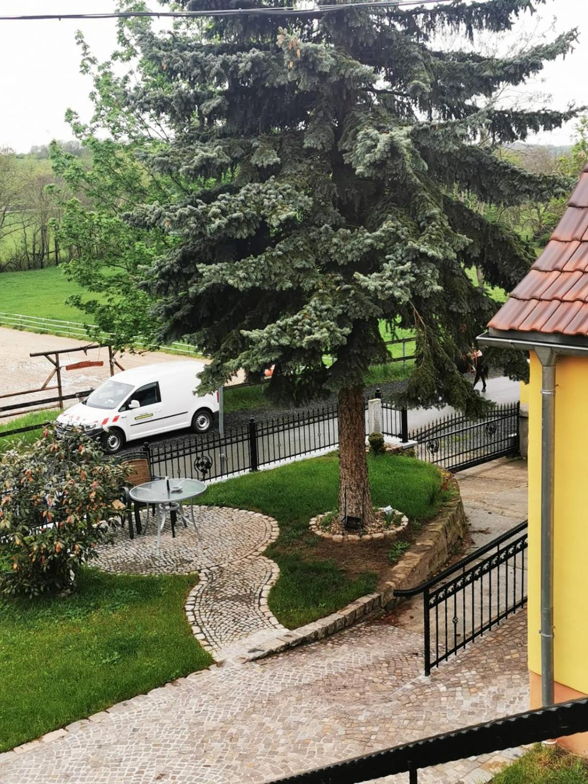 Photo 46