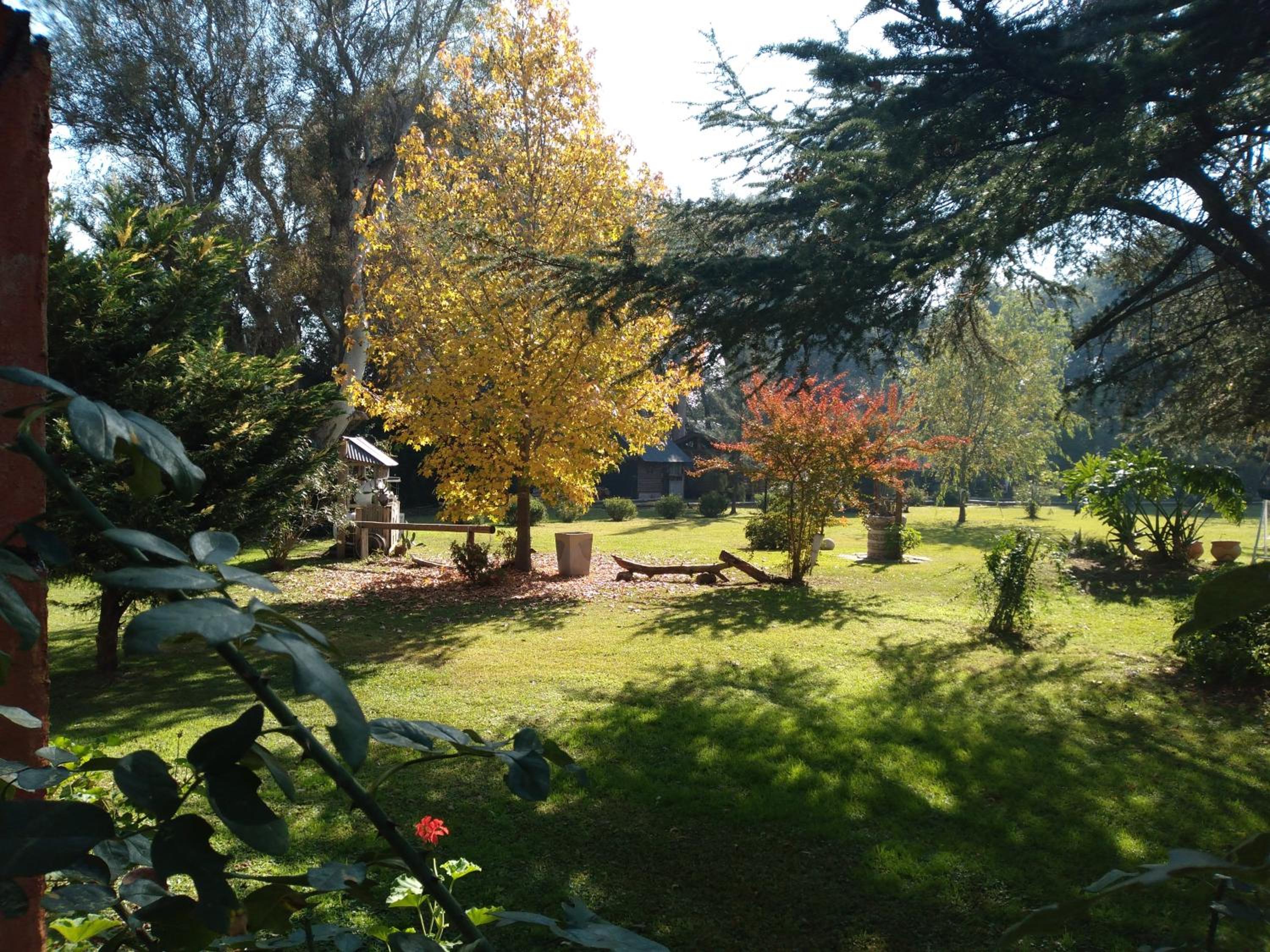 Pualy Resort & Spa