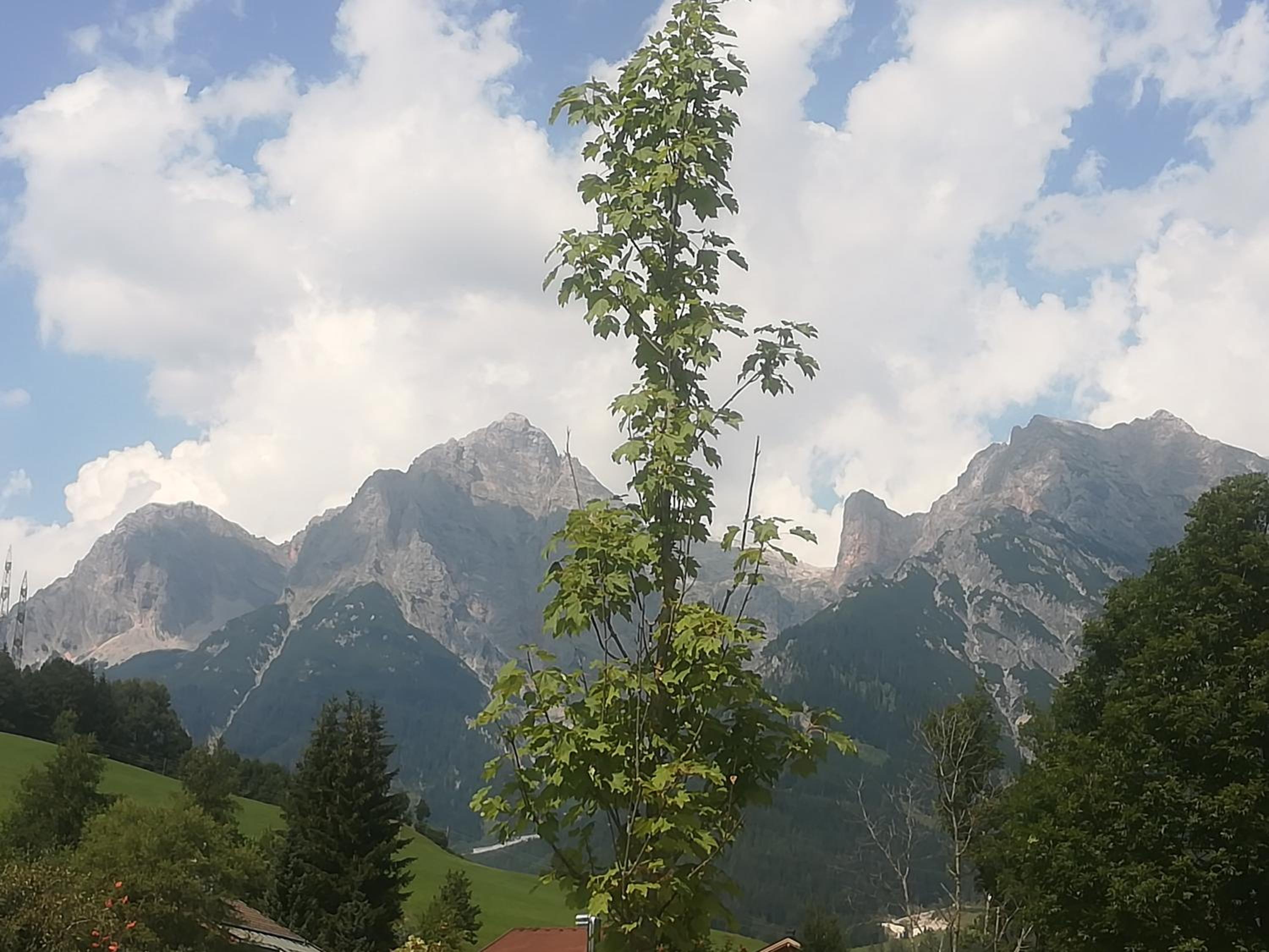 Photo 24