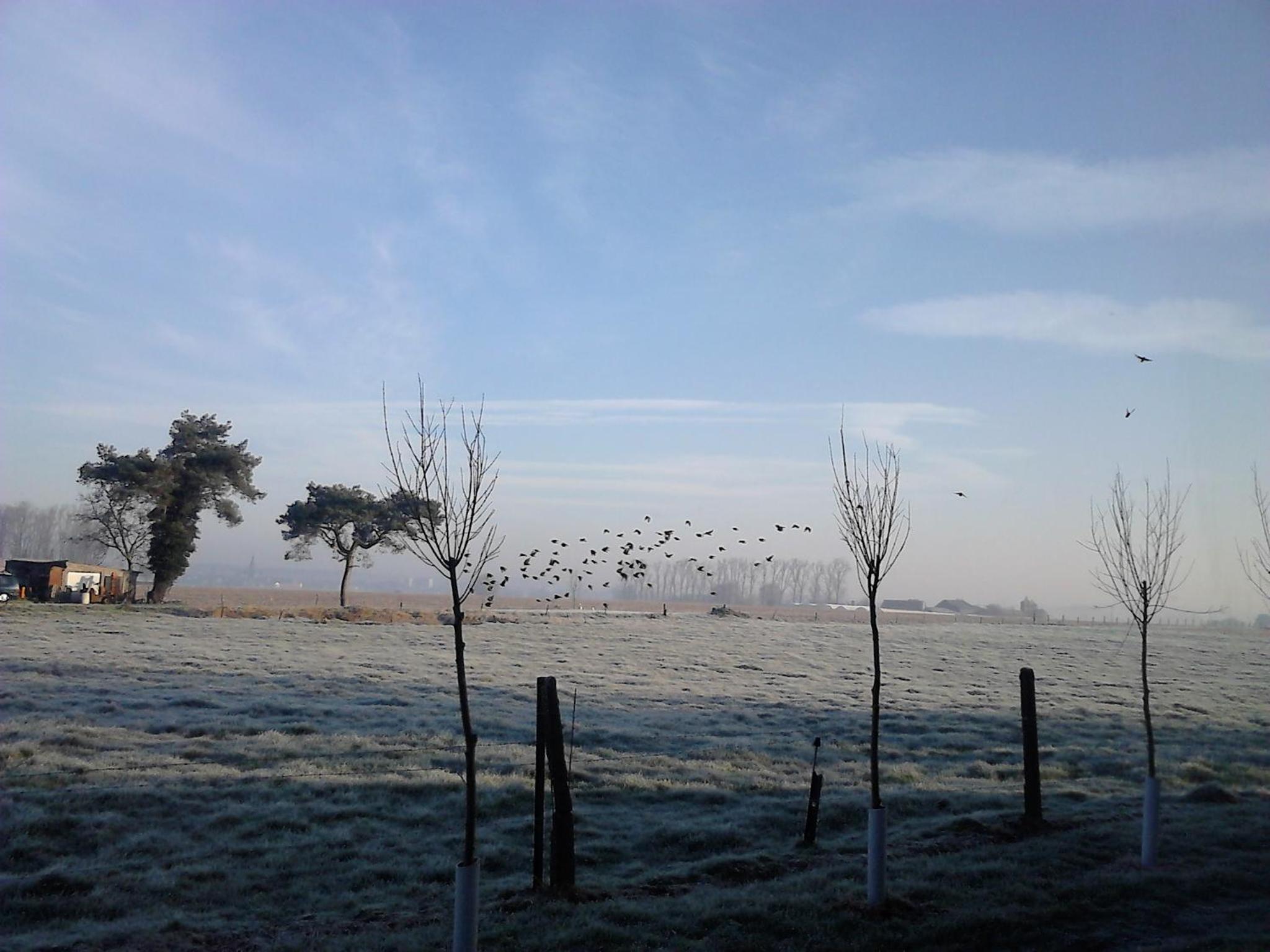 Vakantiewoning onZENhof