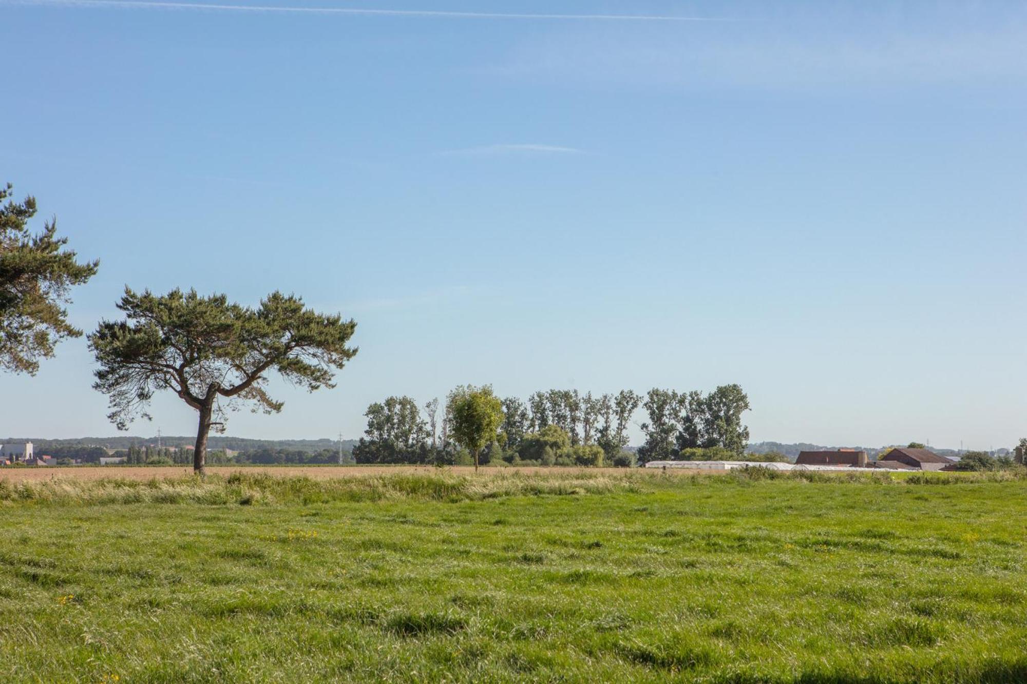 Vakantiewoning onZENhof