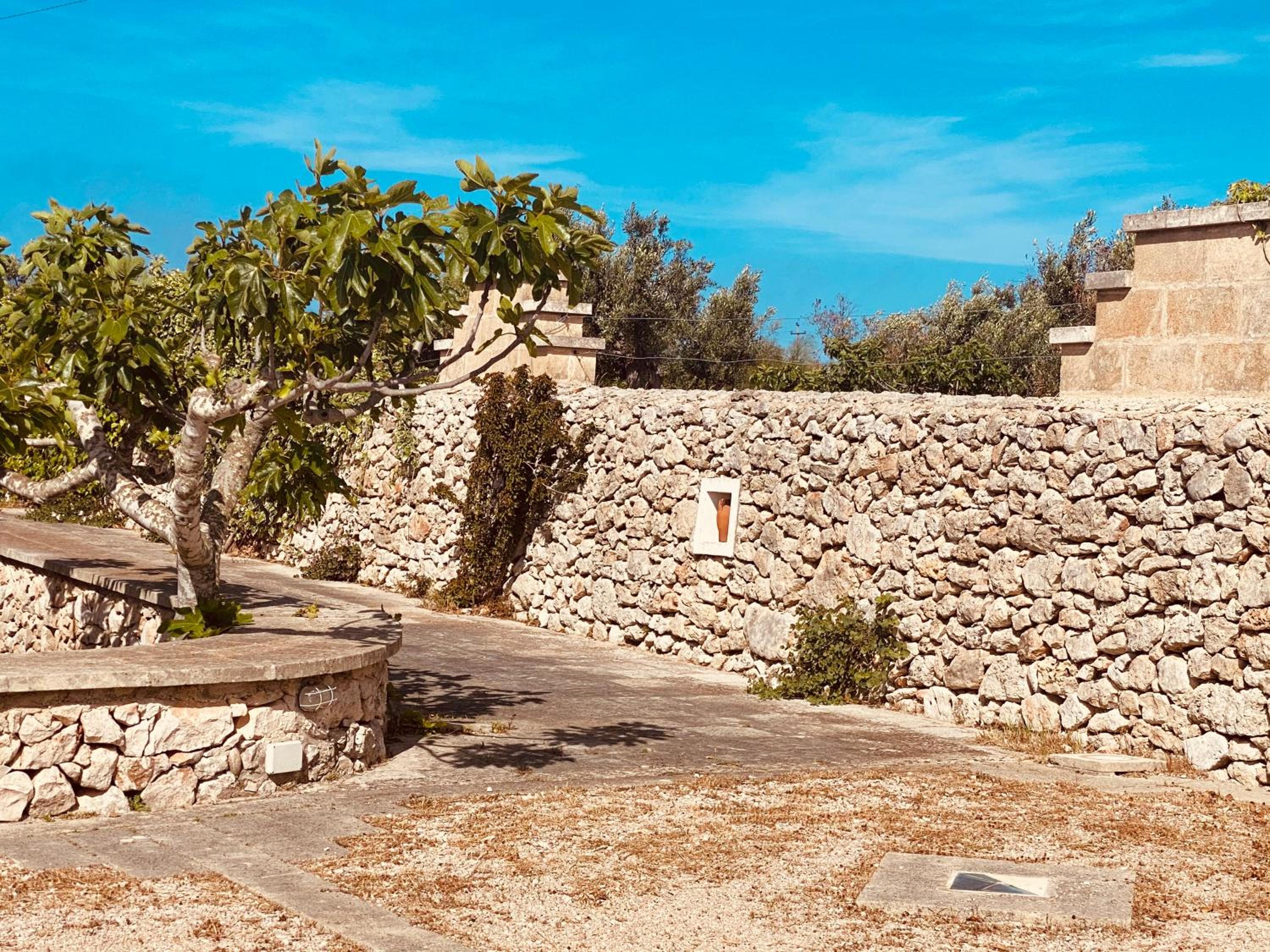 VIGNA VECCHIA view 3