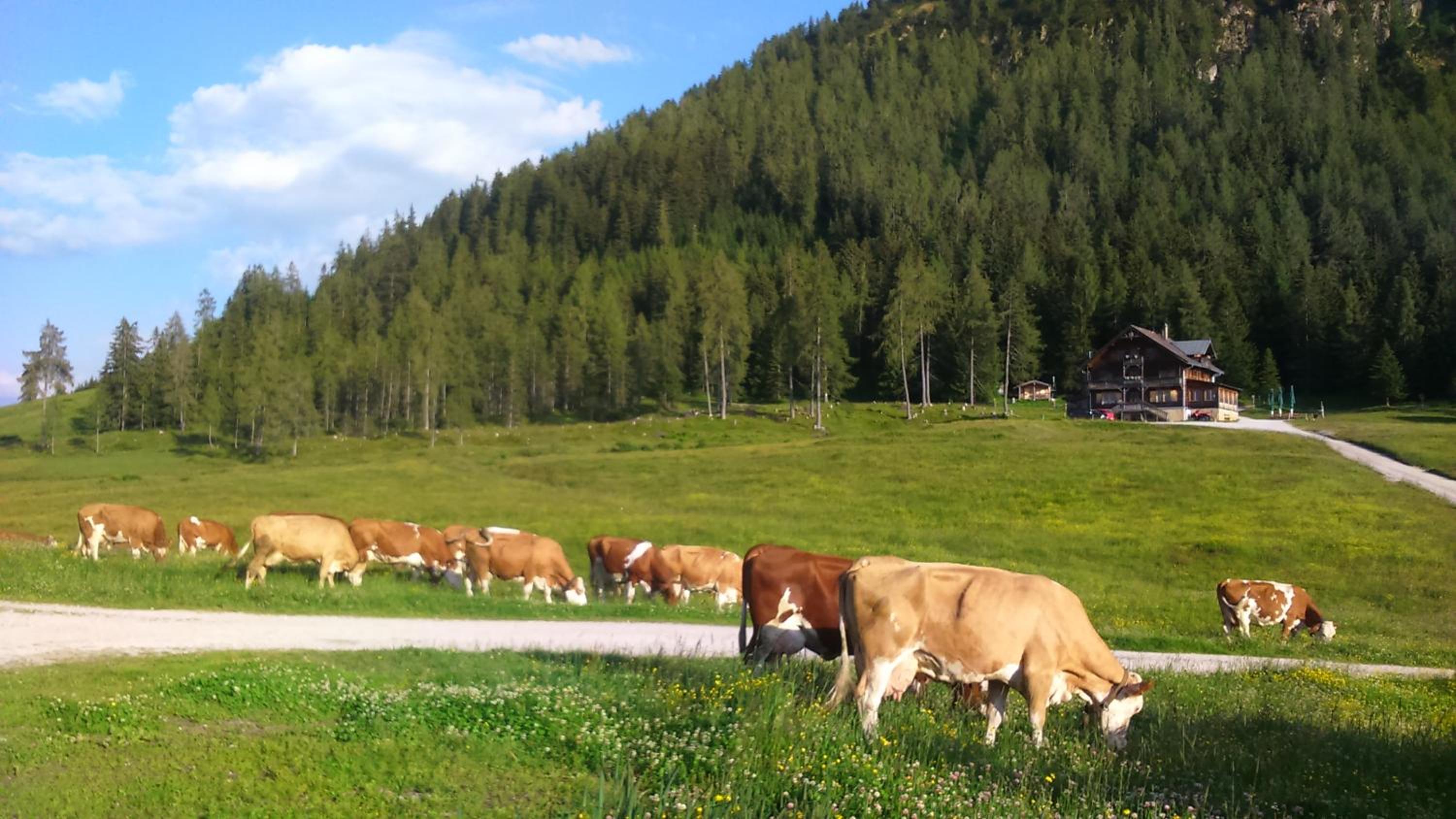 Wörglerhof's Hüttenapartments mit Kachelofen Farm Stay
