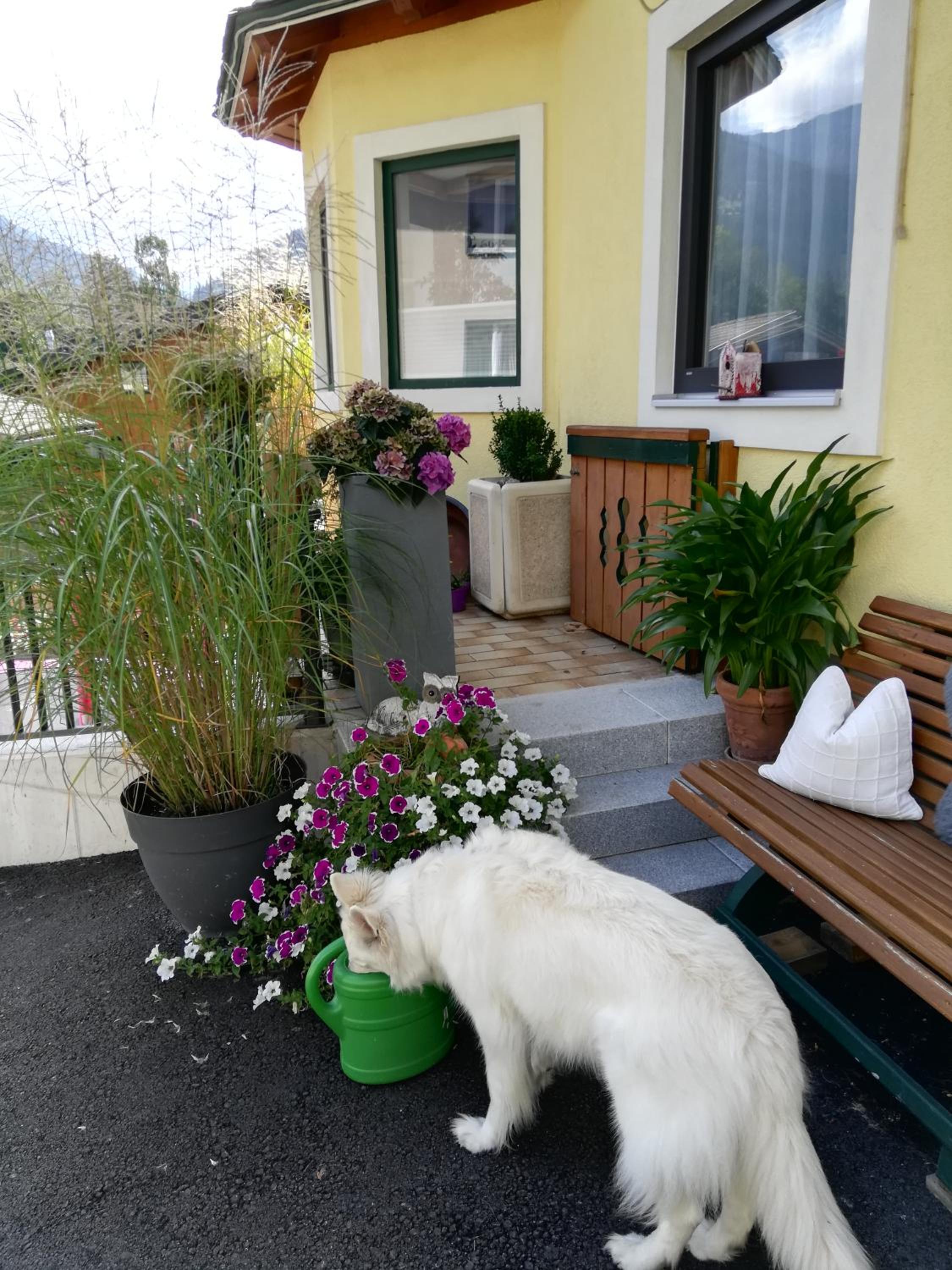 Haus Ortsblick