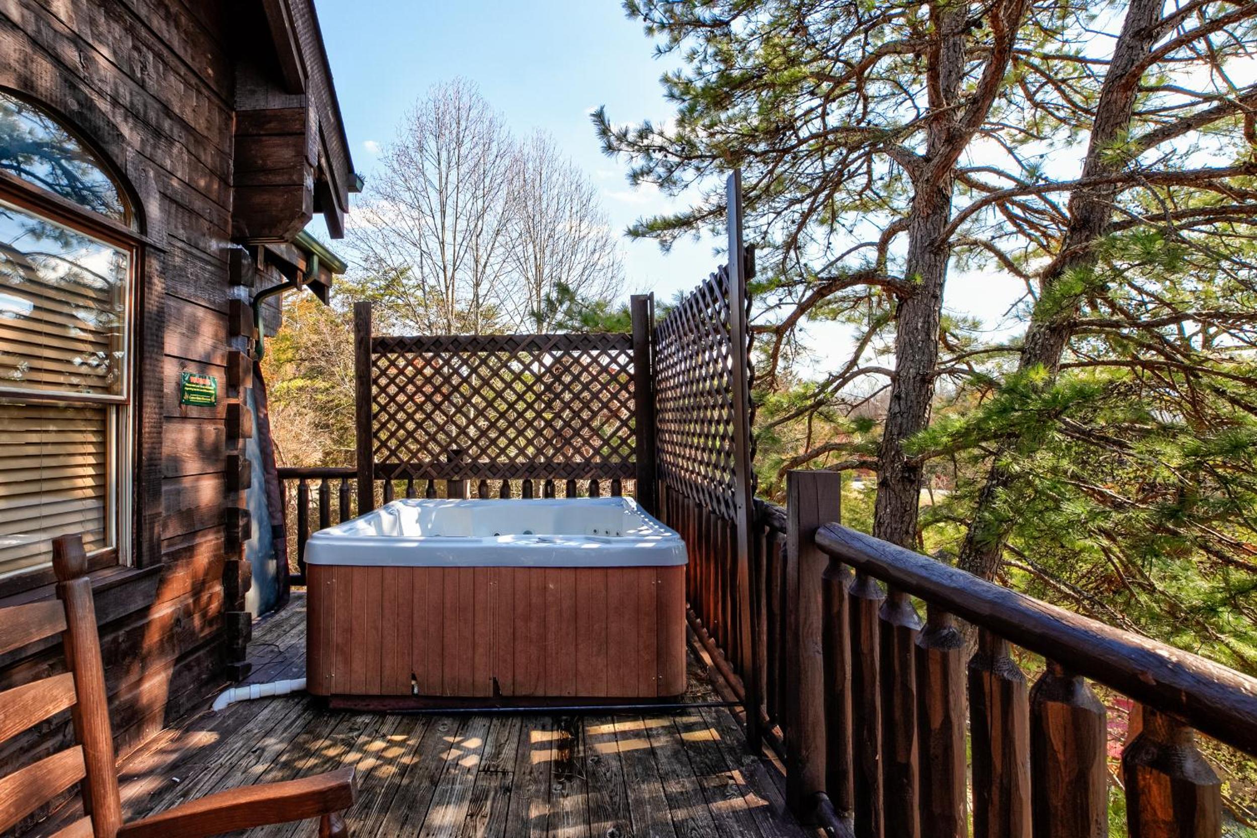 SmokyStays 6 Bedroom Cabin view 4
