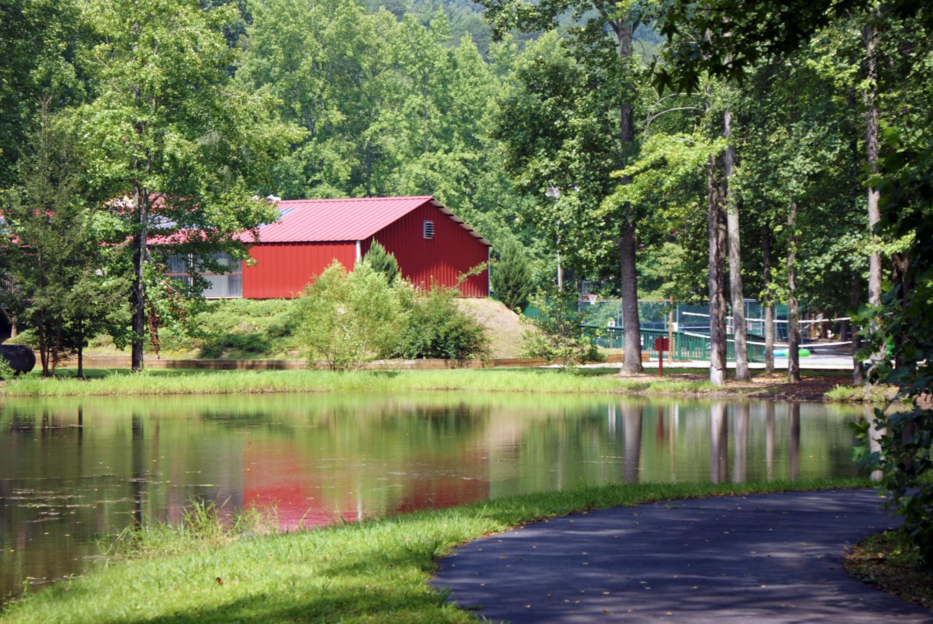 Alpine Crest Resort view 5