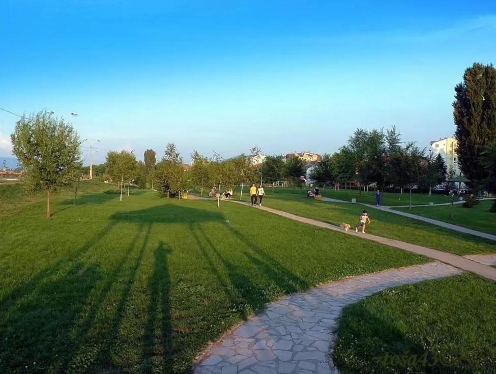 Photo 25