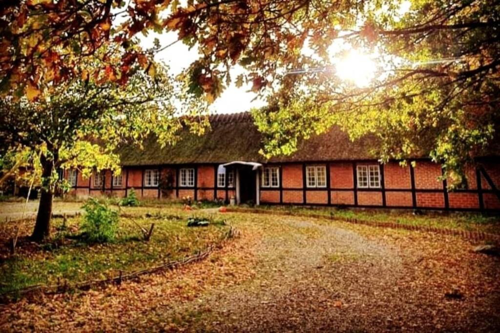 Alter Priesterhof - Idyllische Ferienhausvermietung