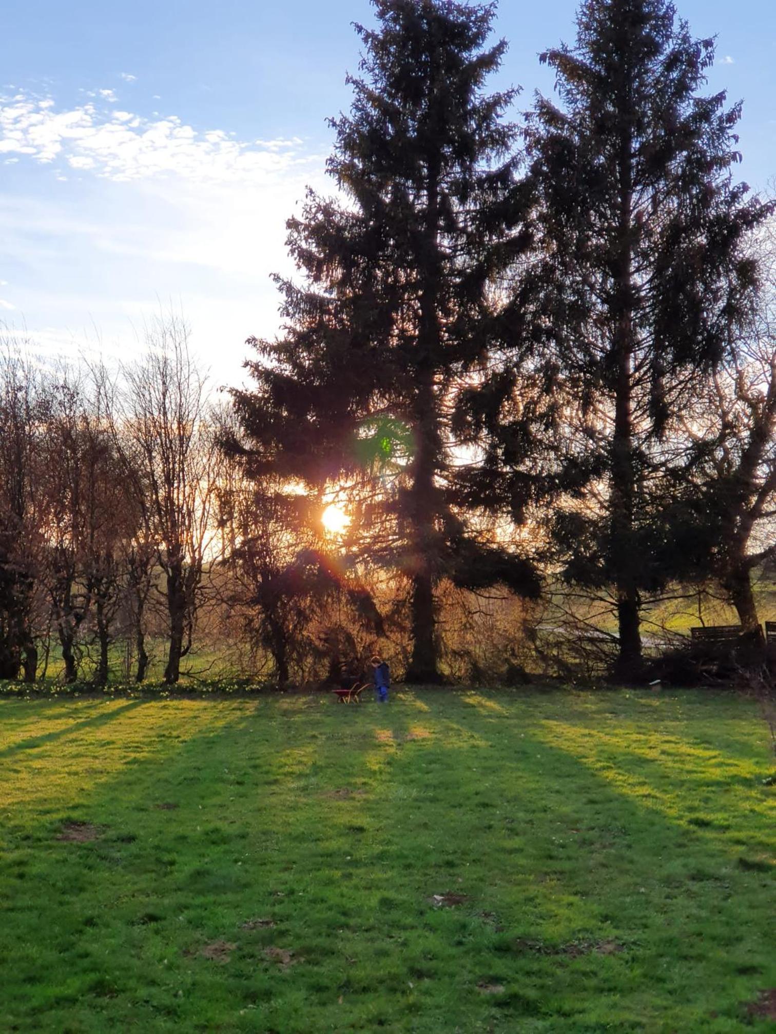 Maison Chalet
