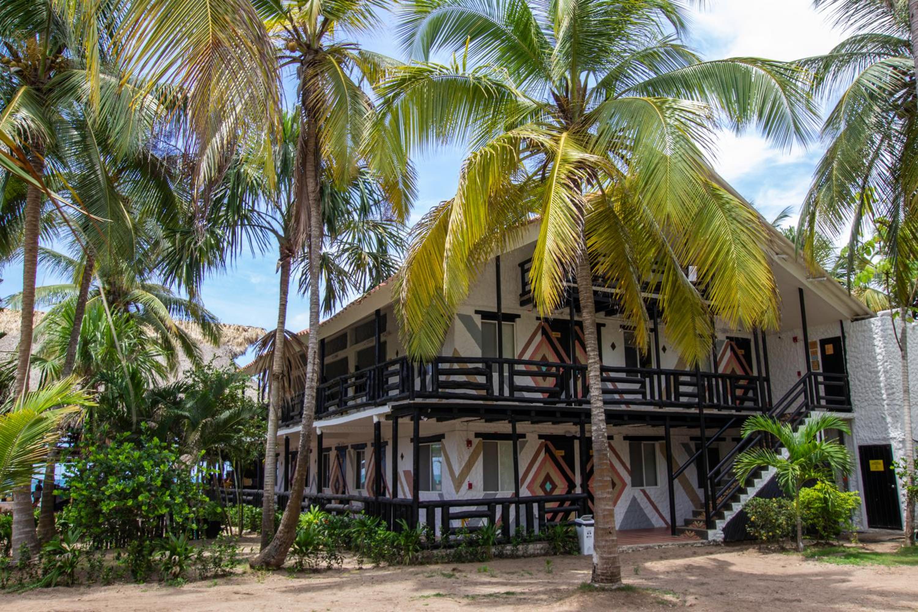 Socialtel Palomino - formerly Selina Palomino