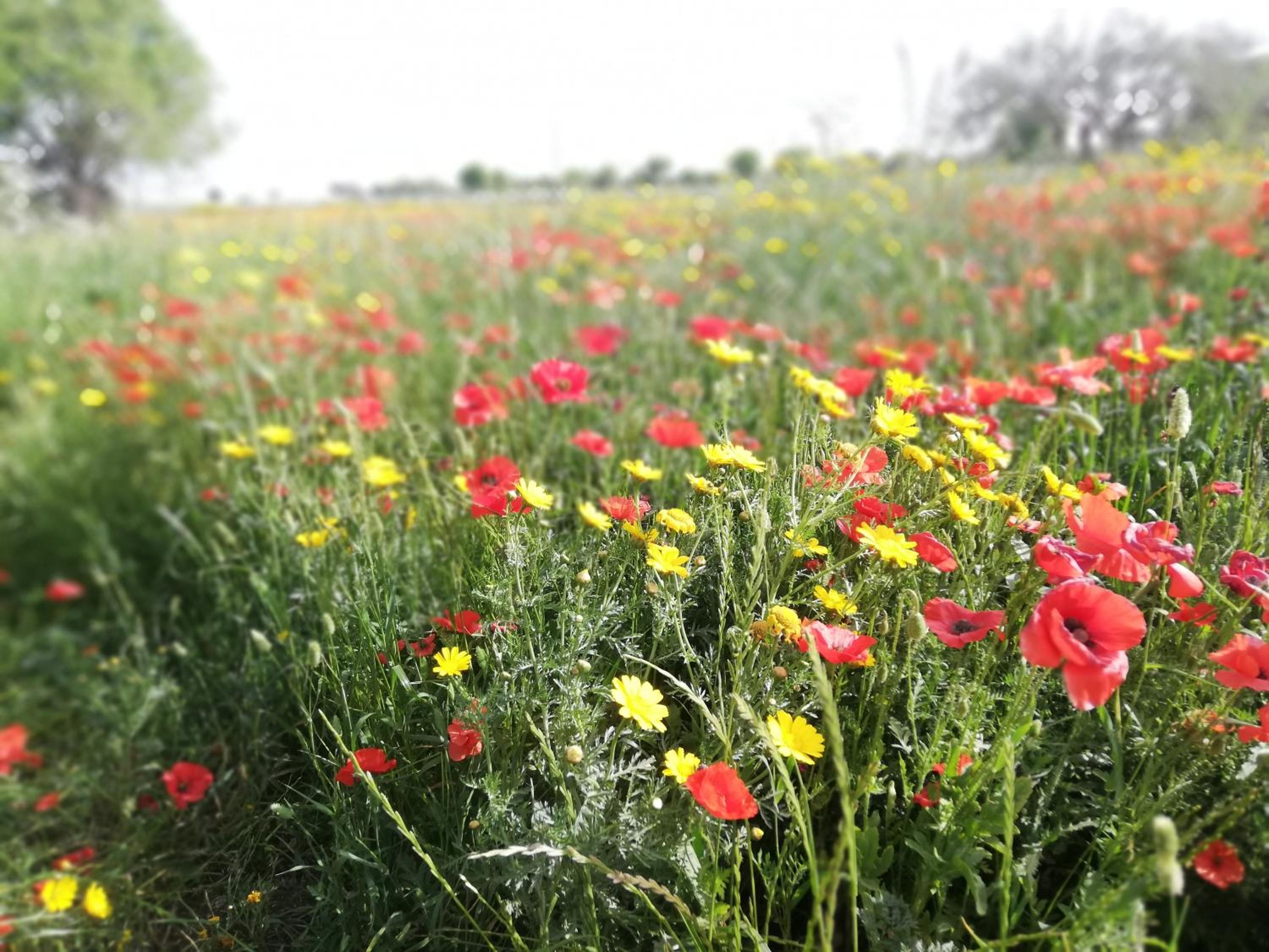 Agriturismo Fondo Paliemmu