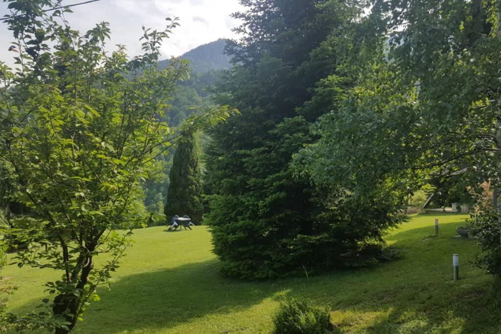 WOLF'S PLANE Luxury Isolated Mountain House for Digital Nomads