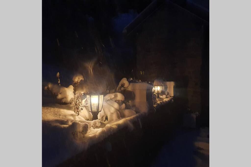 WOLF'S PLANE Luxury Isolated Mountain House for Digital Nomads
