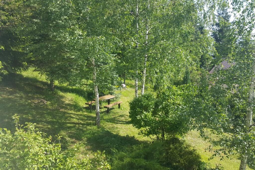 WOLF'S PLANE Luxury Isolated Mountain House for Digital Nomads