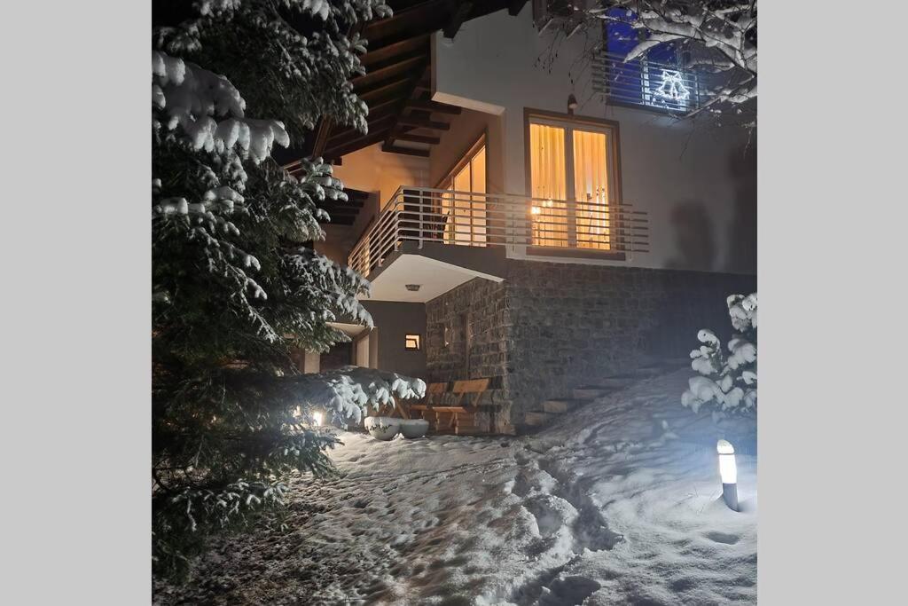 WOLF'S PLANE Luxury Isolated Mountain House for Digital Nomads