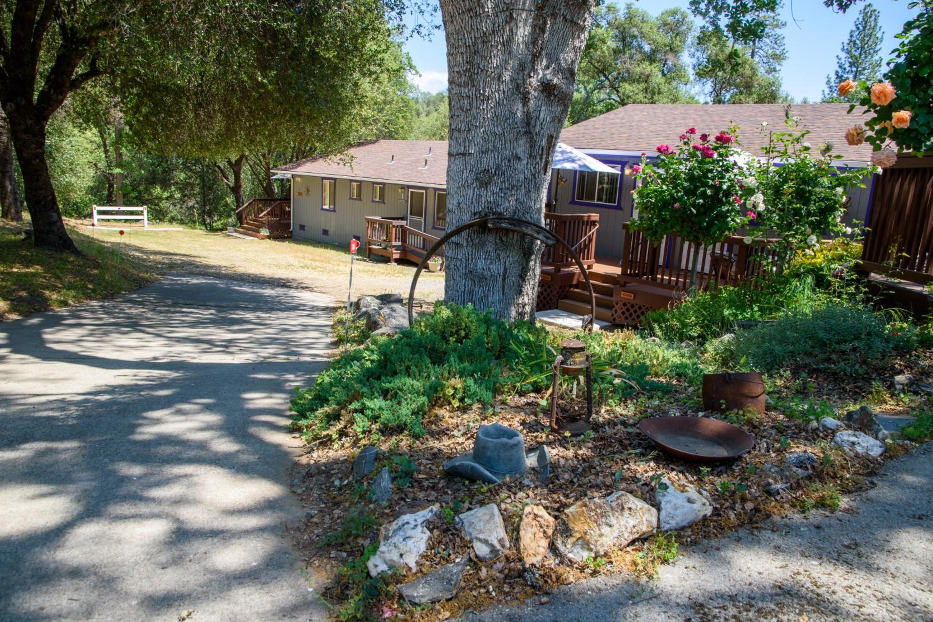 Photo 44