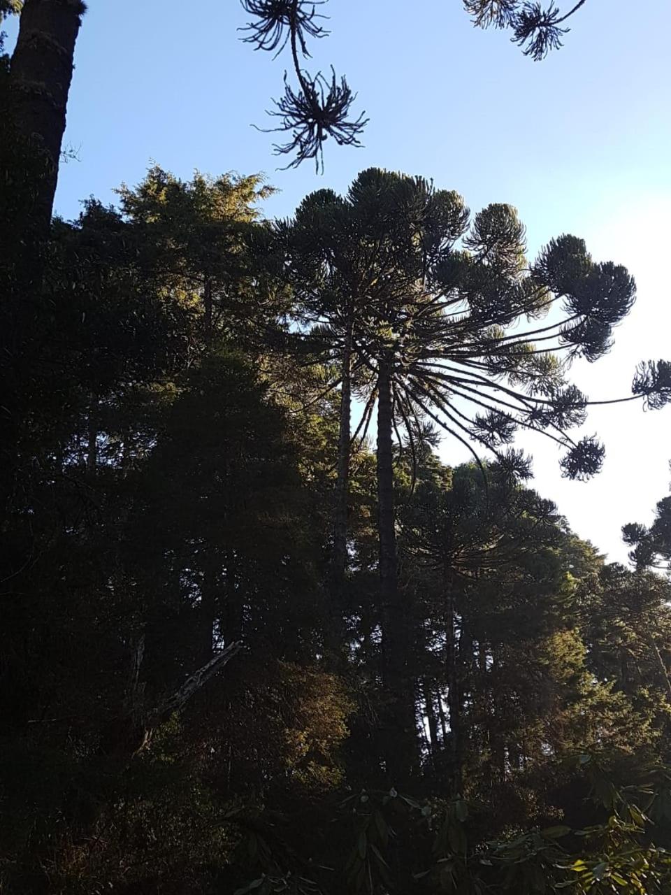 Condessa de Bonneval em Campos do Jordão