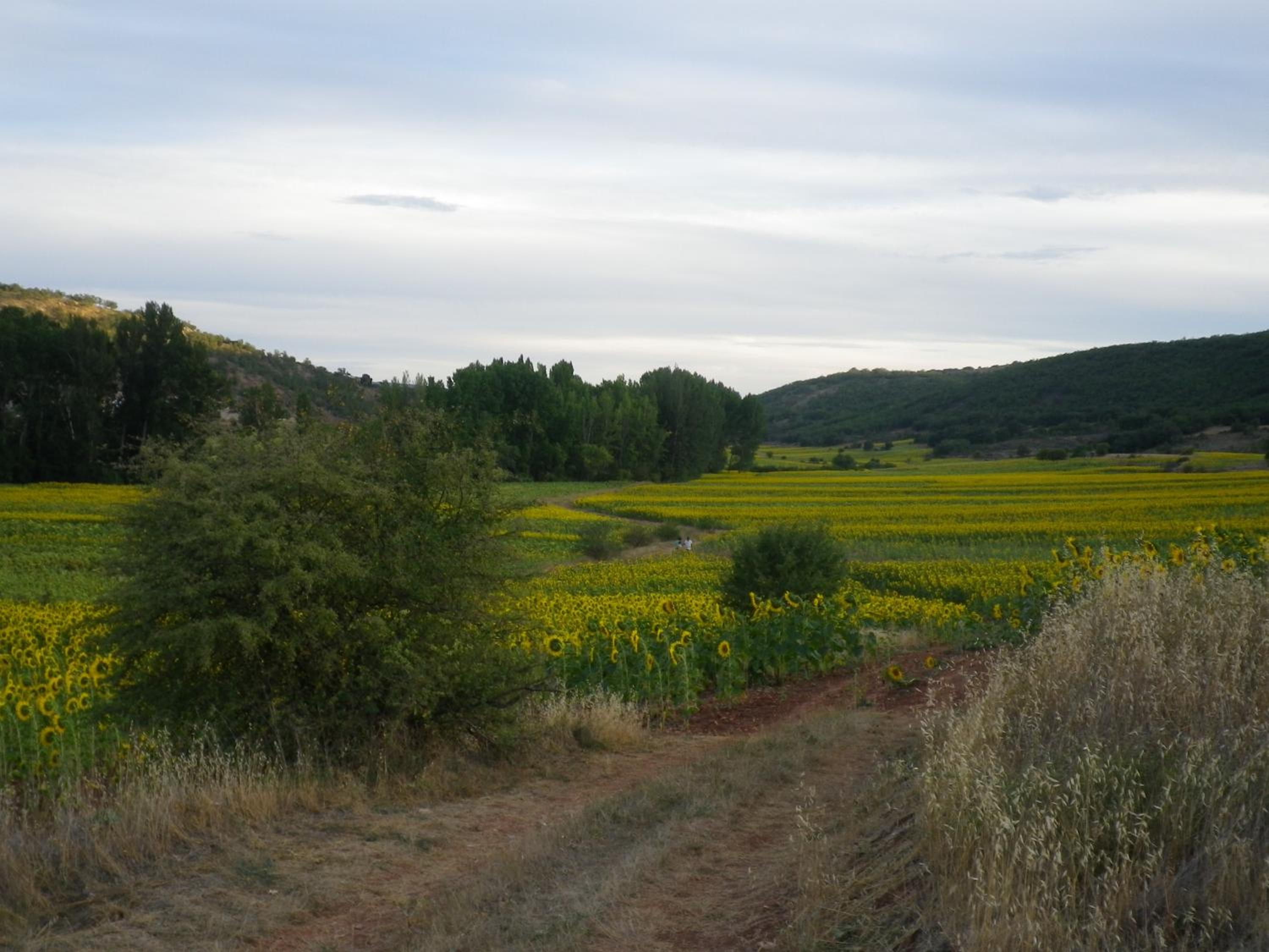 Photo 30