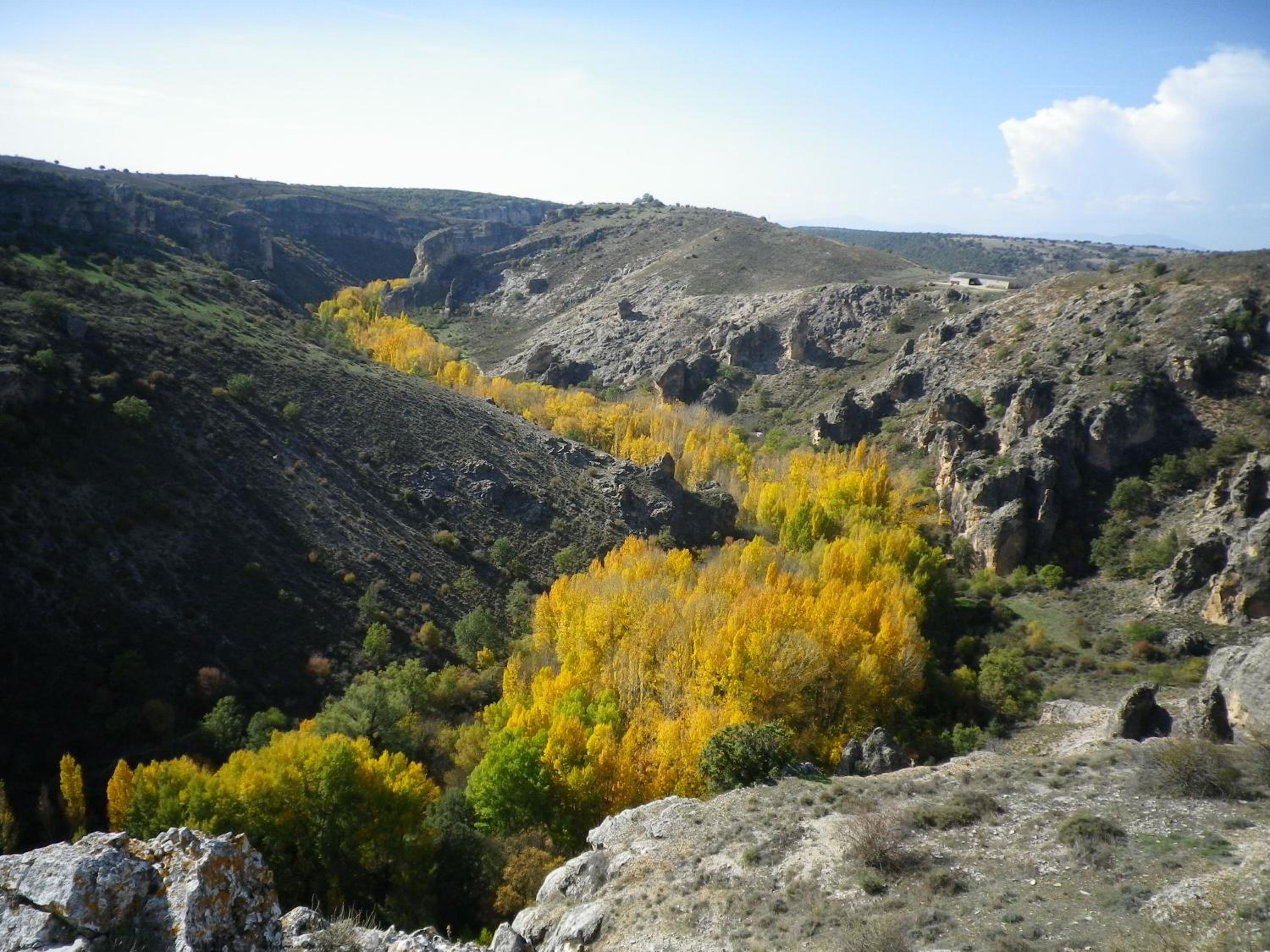 Photo 25