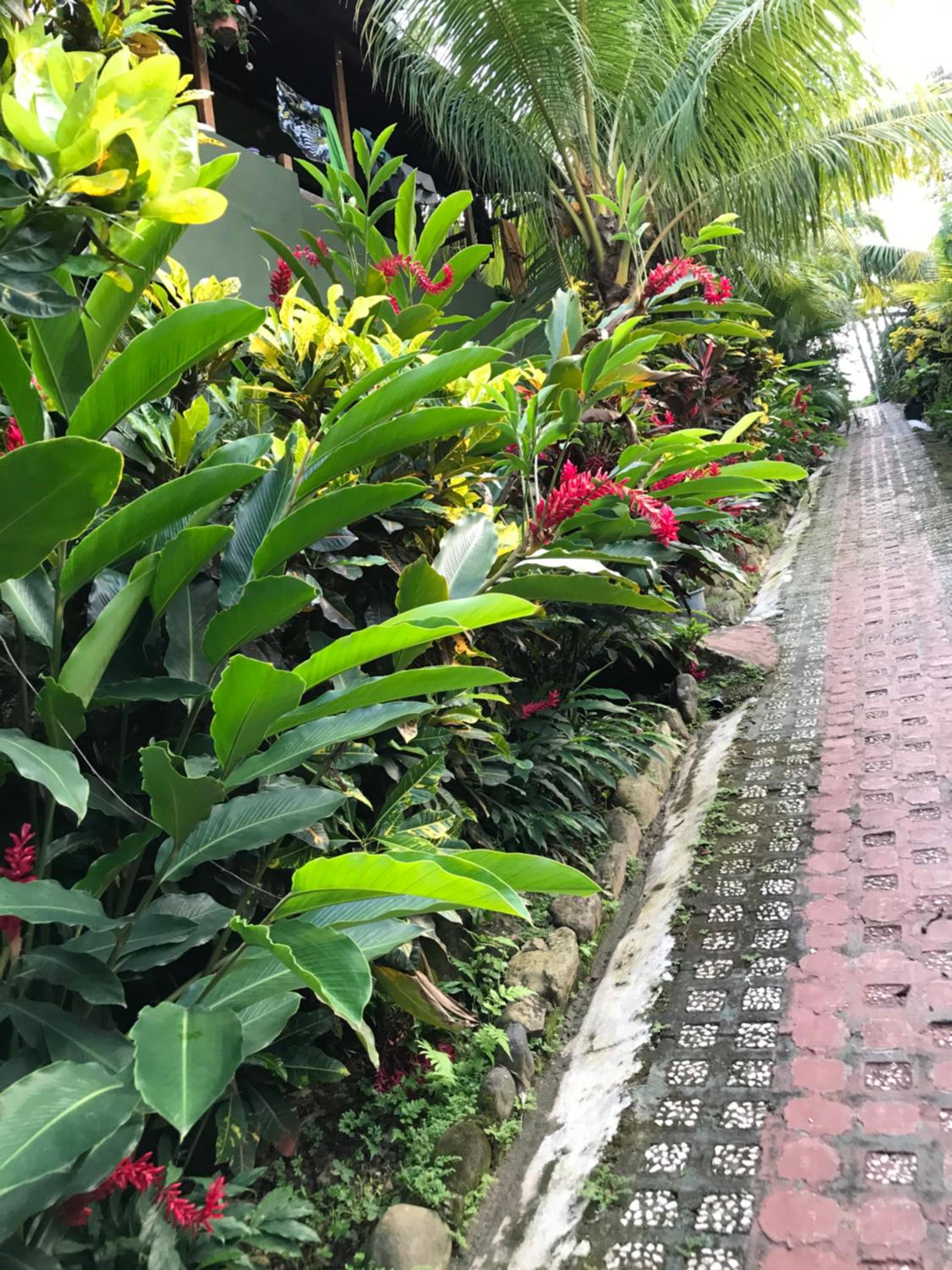 FLOR DE PARAISO BUNGALOWS