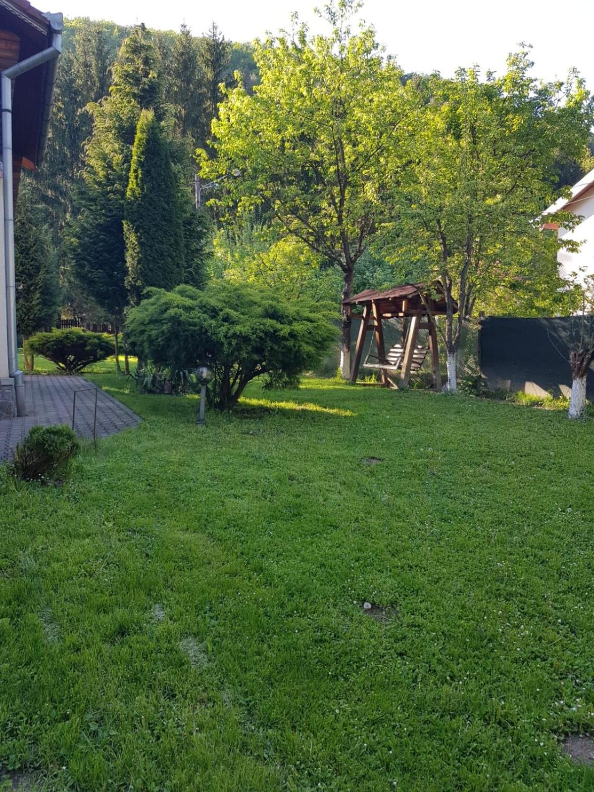 Photo 46