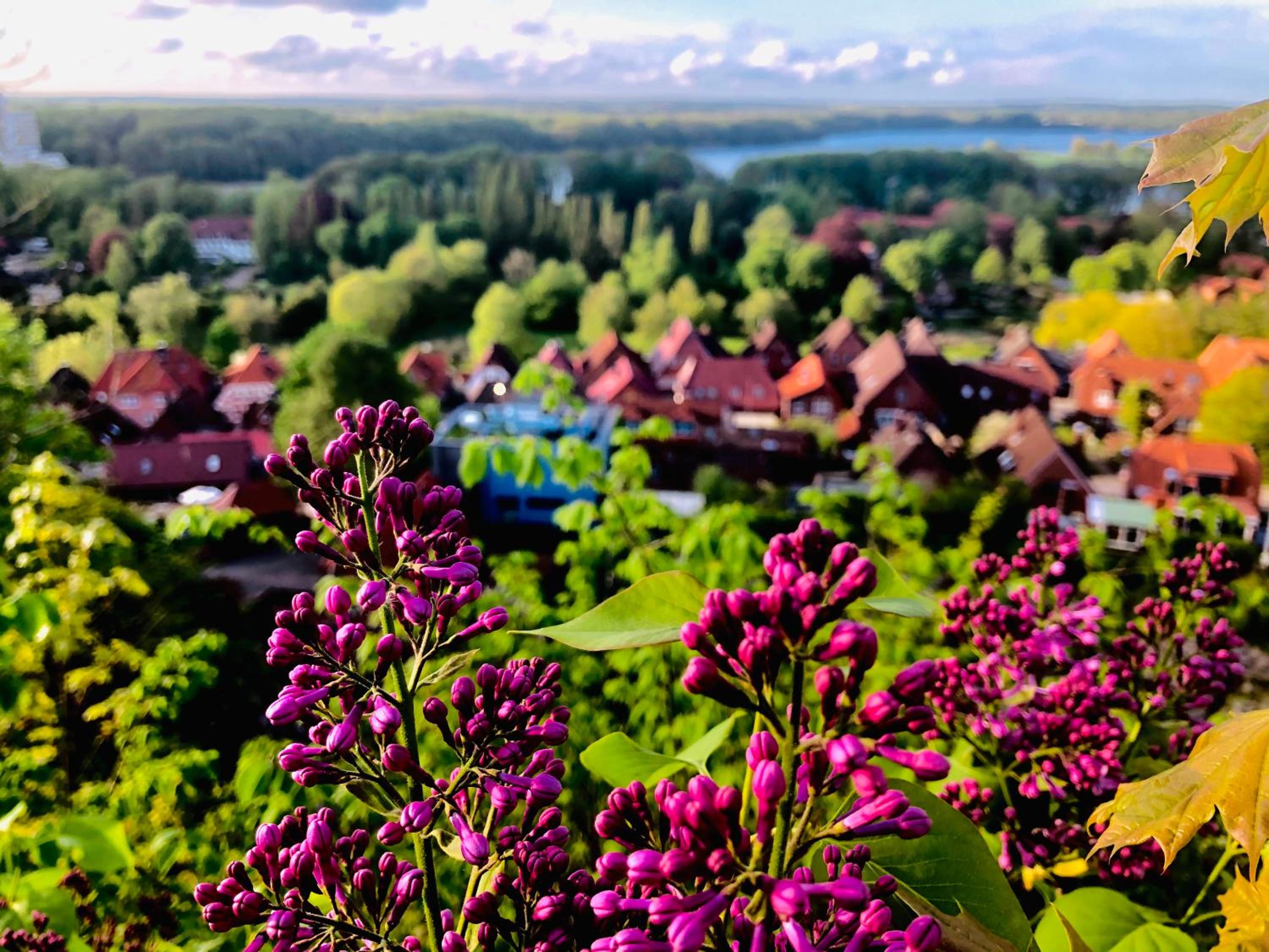 Kalkberg Ferienwohnungen