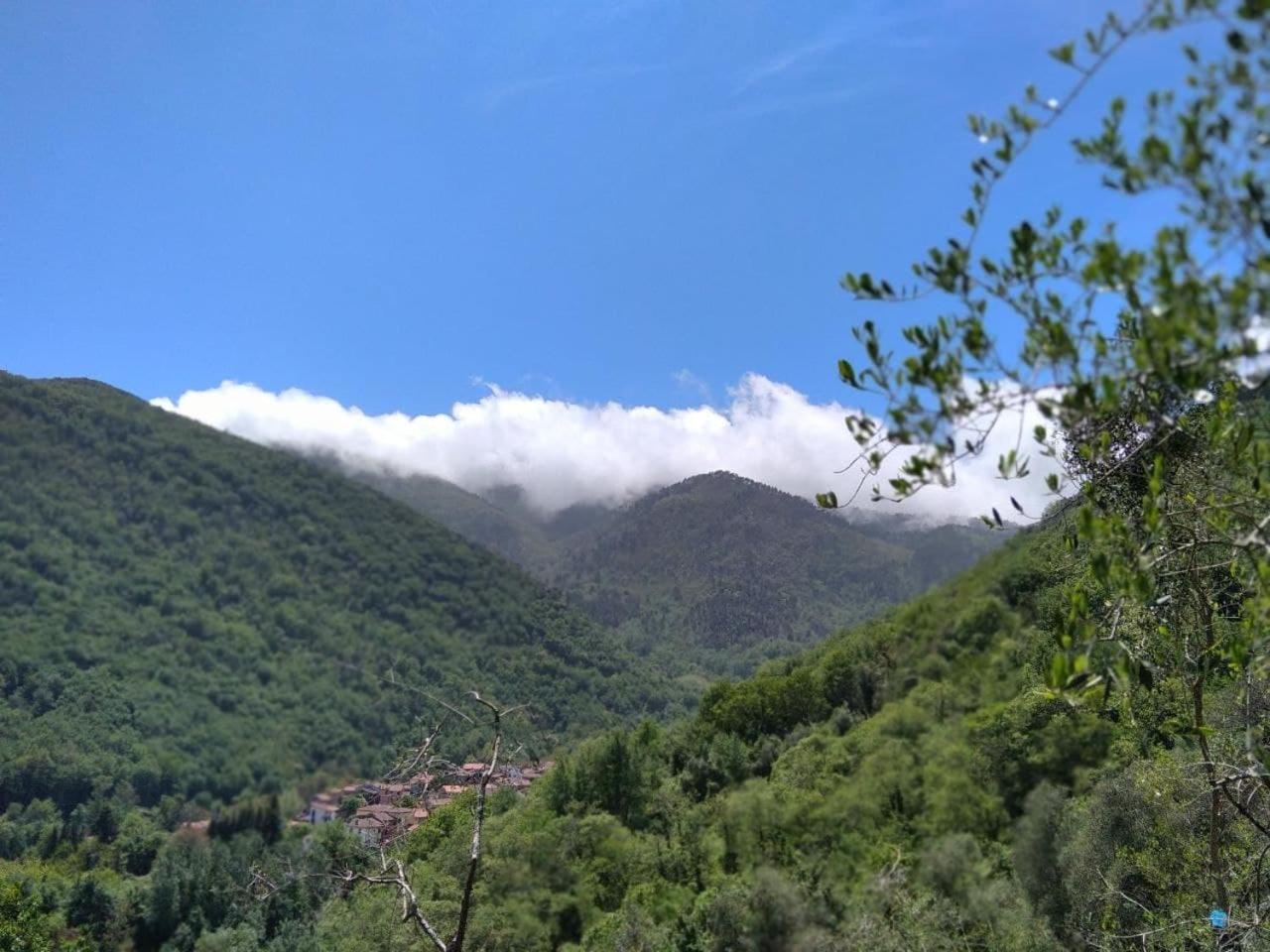 La Cantina Del Sole