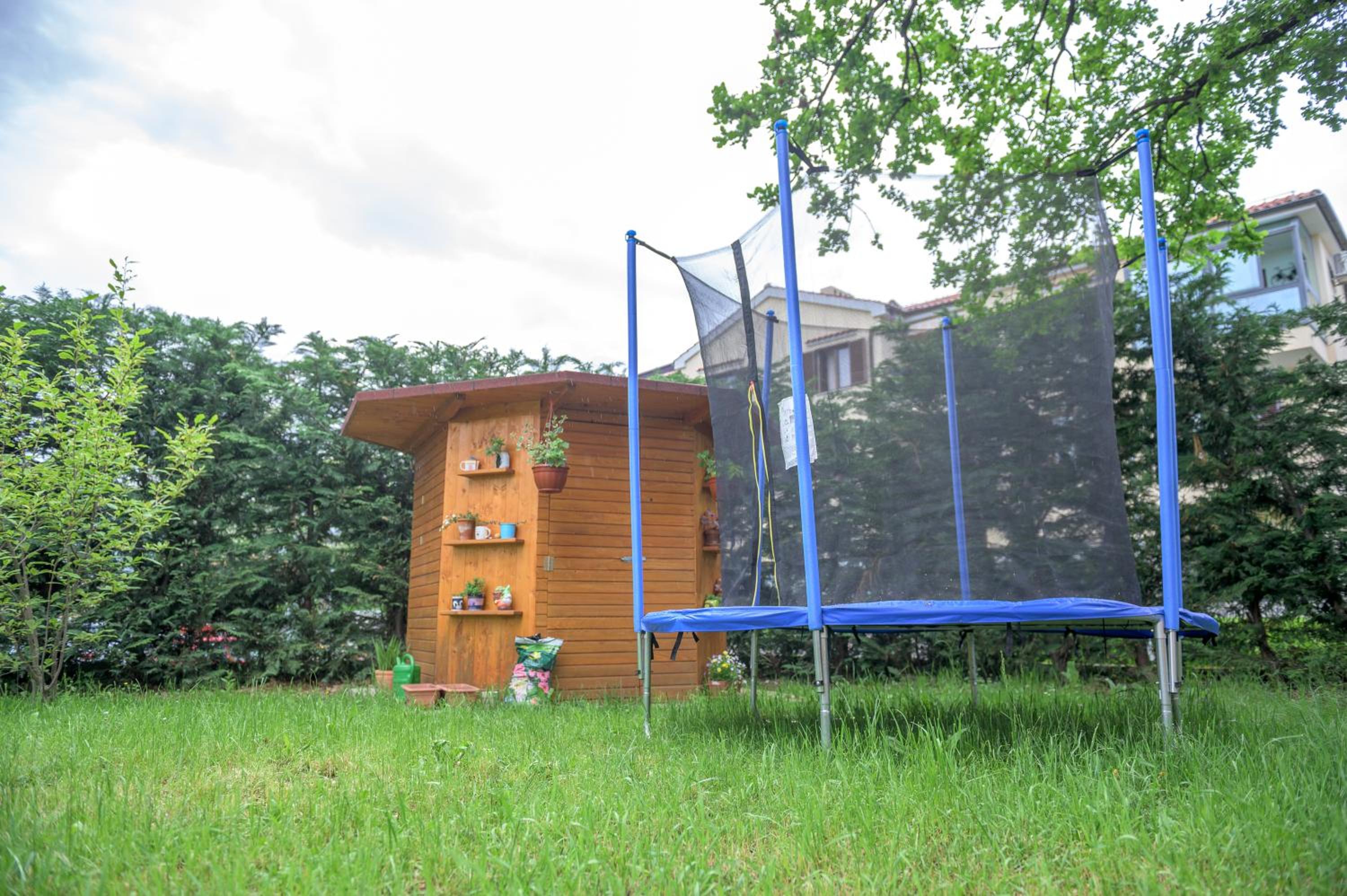 Crni mačak view 3