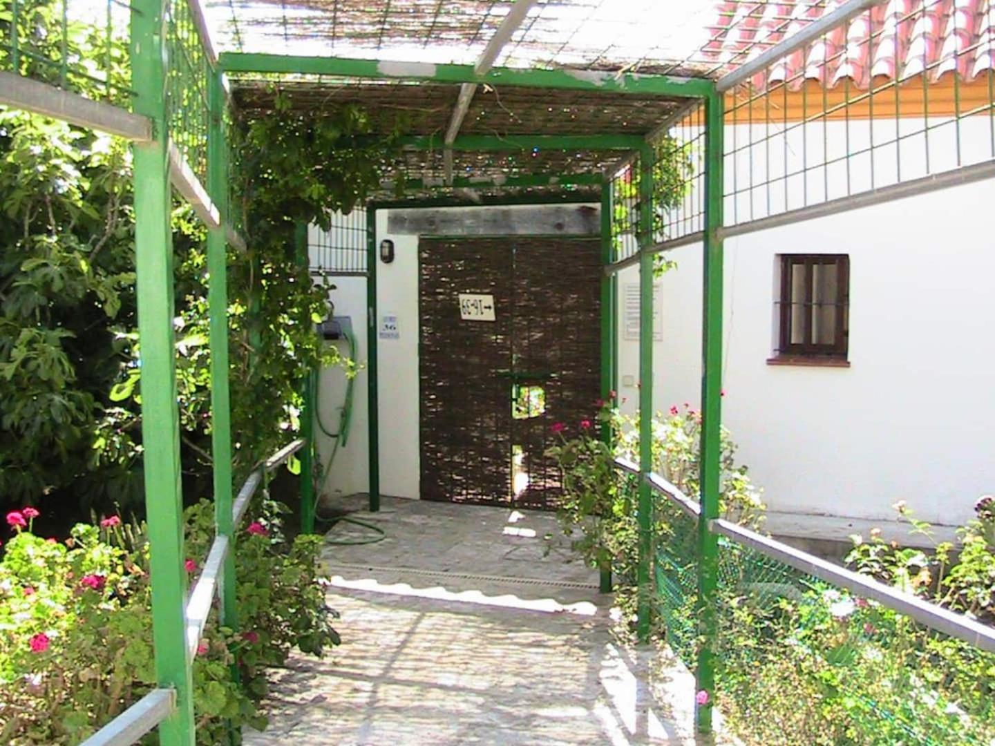 Finca La Tacita - Petunia view 3