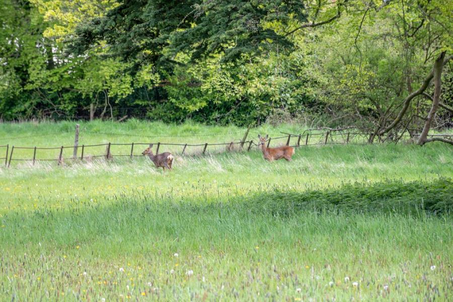 Home Farm Boreham