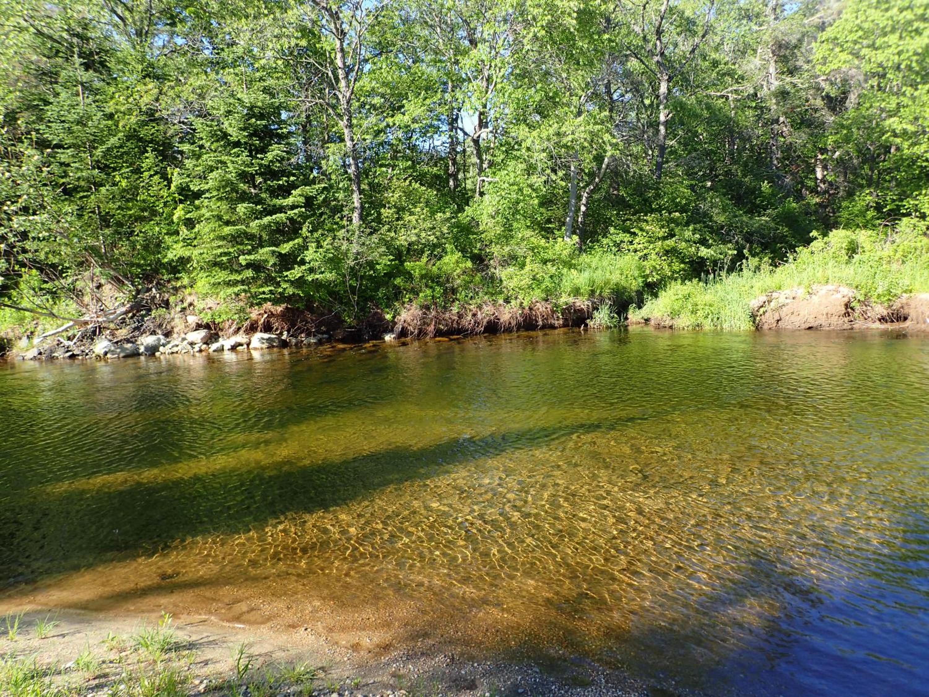 Photo 48
