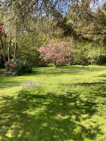 Lodge 'De Groene Parel' view 4