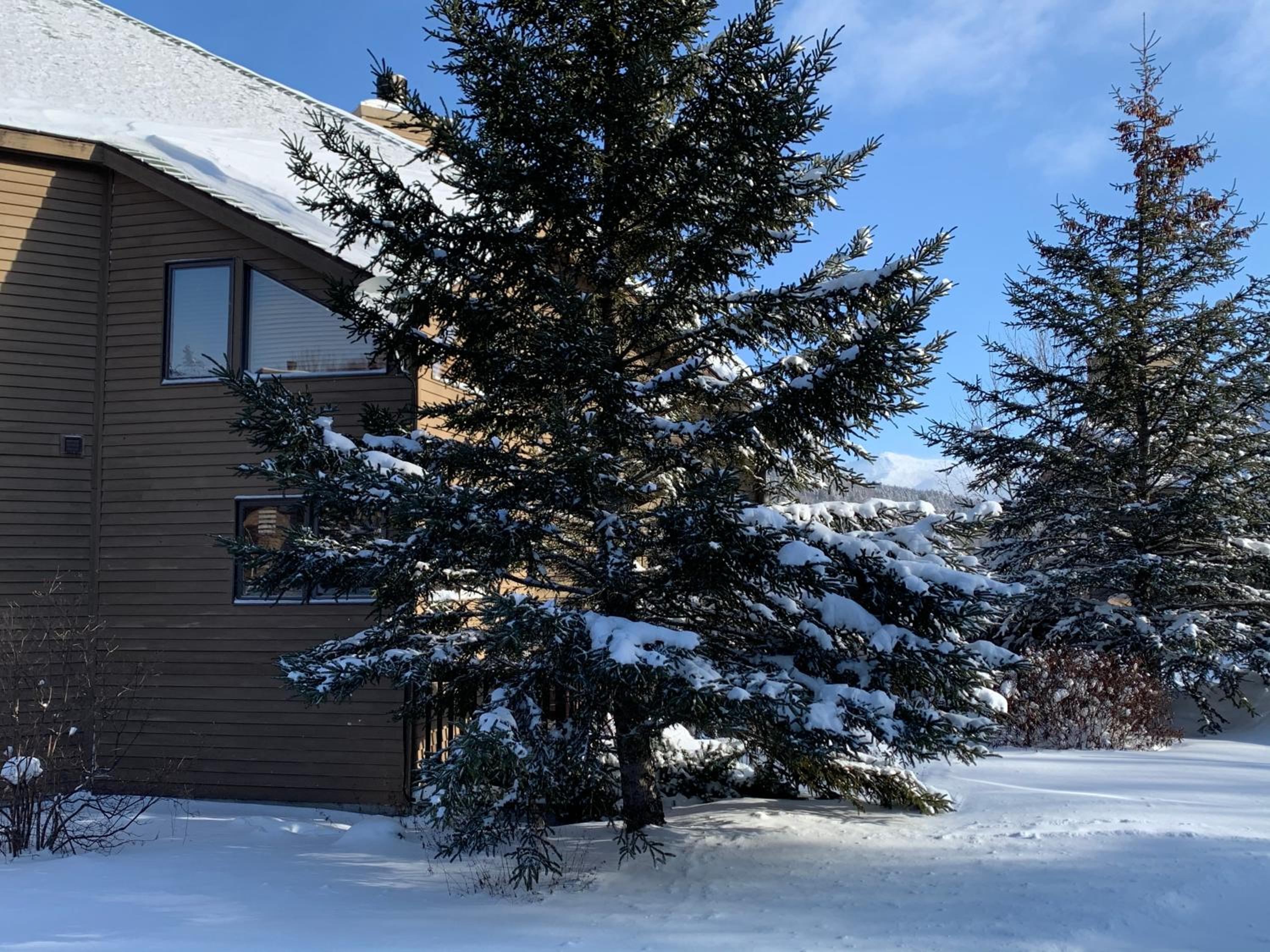 C6 Beautiful views from this Crawford Ridge Townhome a short walk from the slopes view 5