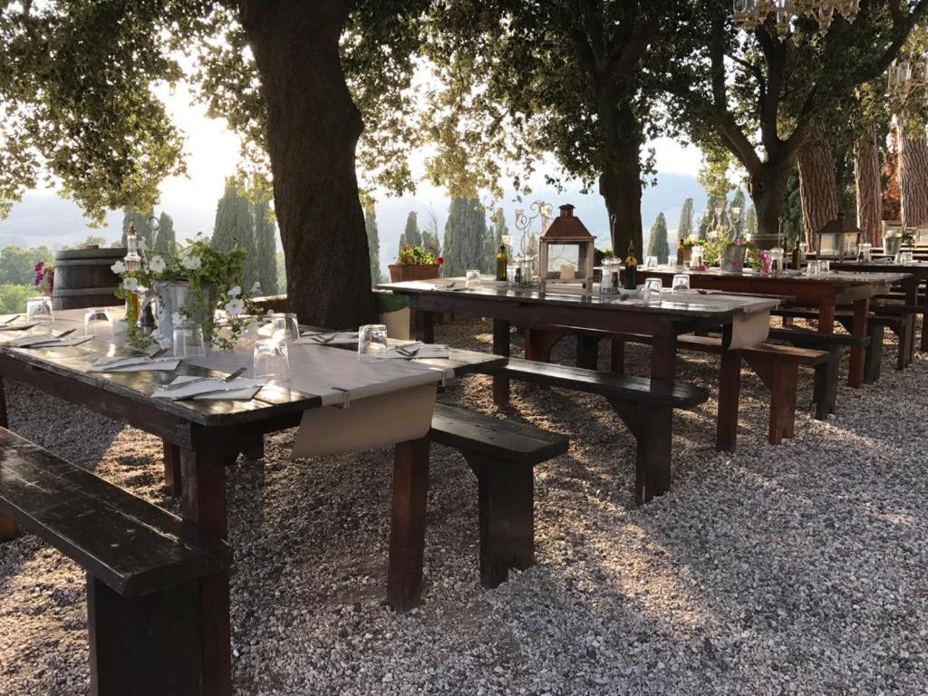 Tenuta Mocajo